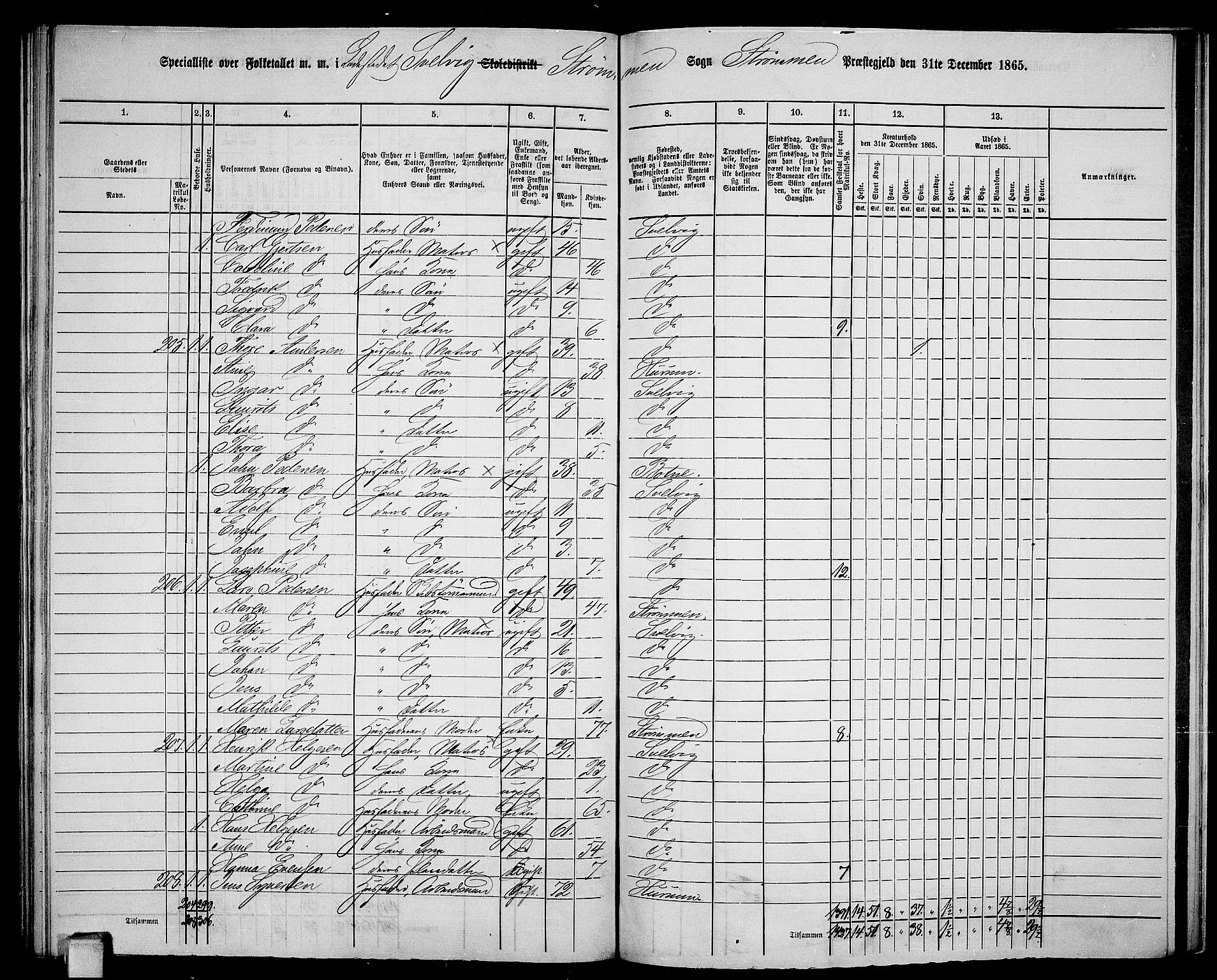 RA, 1865 census for Strømm, 1865, p. 110