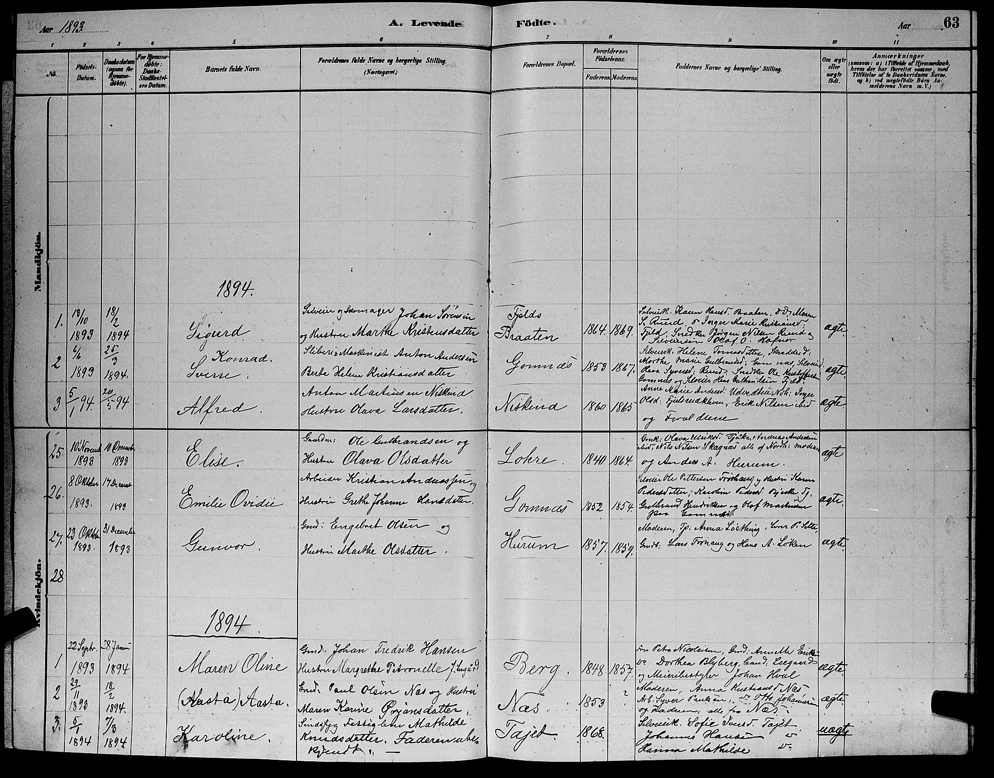 Hole kirkebøker, SAKO/A-228/G/Ga/L0003: Parish register (copy) no. I 3, 1879-1904, p. 63