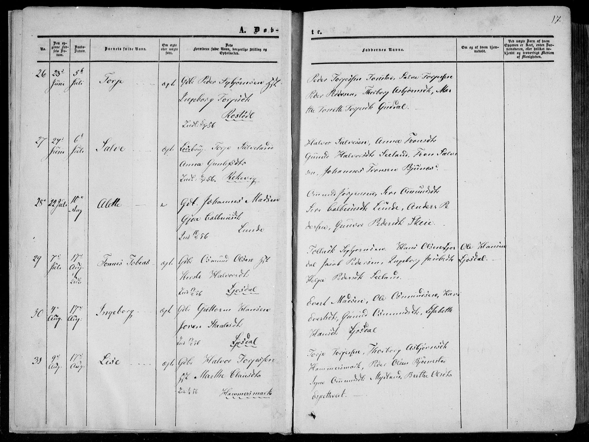 Sirdal sokneprestkontor, AV/SAK-1111-0036/F/Fa/Fab/L0002: Parish register (official) no. A 2, 1855-1874, p. 17