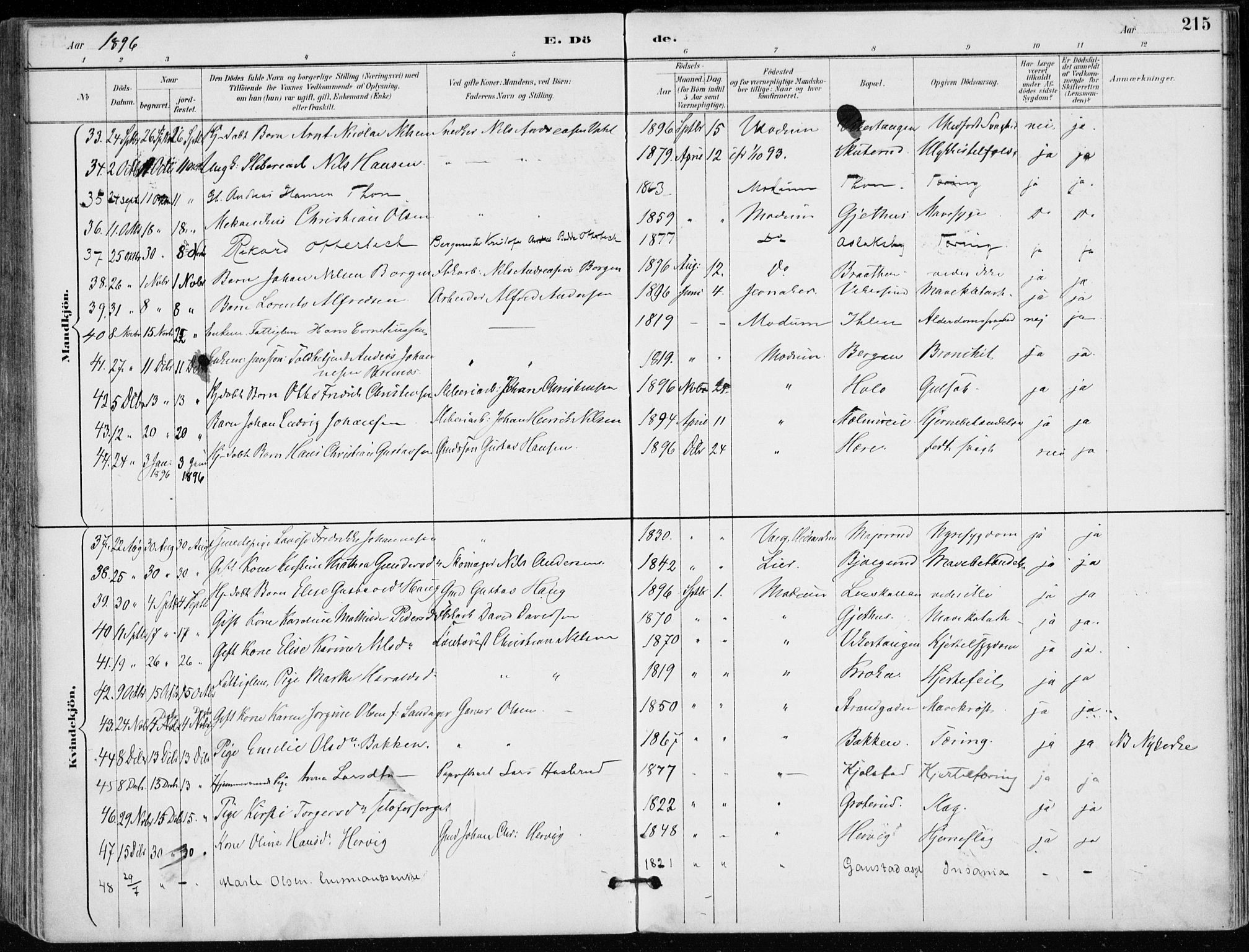 Modum kirkebøker, AV/SAKO-A-234/F/Fa/L0012: Parish register (official) no. 12, 1890-1898, p. 215