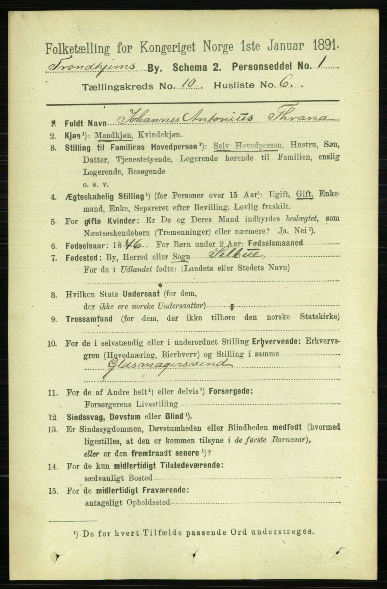 RA, 1891 census for 1601 Trondheim, 1891, p. 8424