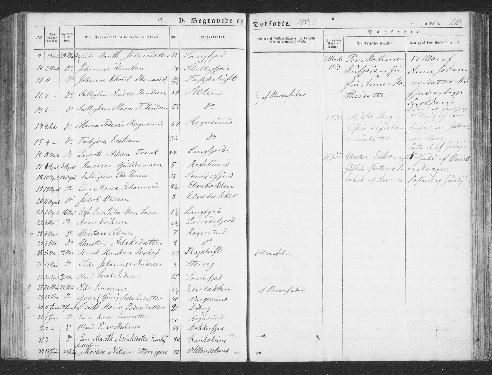 Talvik sokneprestkontor, SATØ/S-1337/H/Ha/L0010kirke: Parish register (official) no. 10, 1852-1864, p. 213