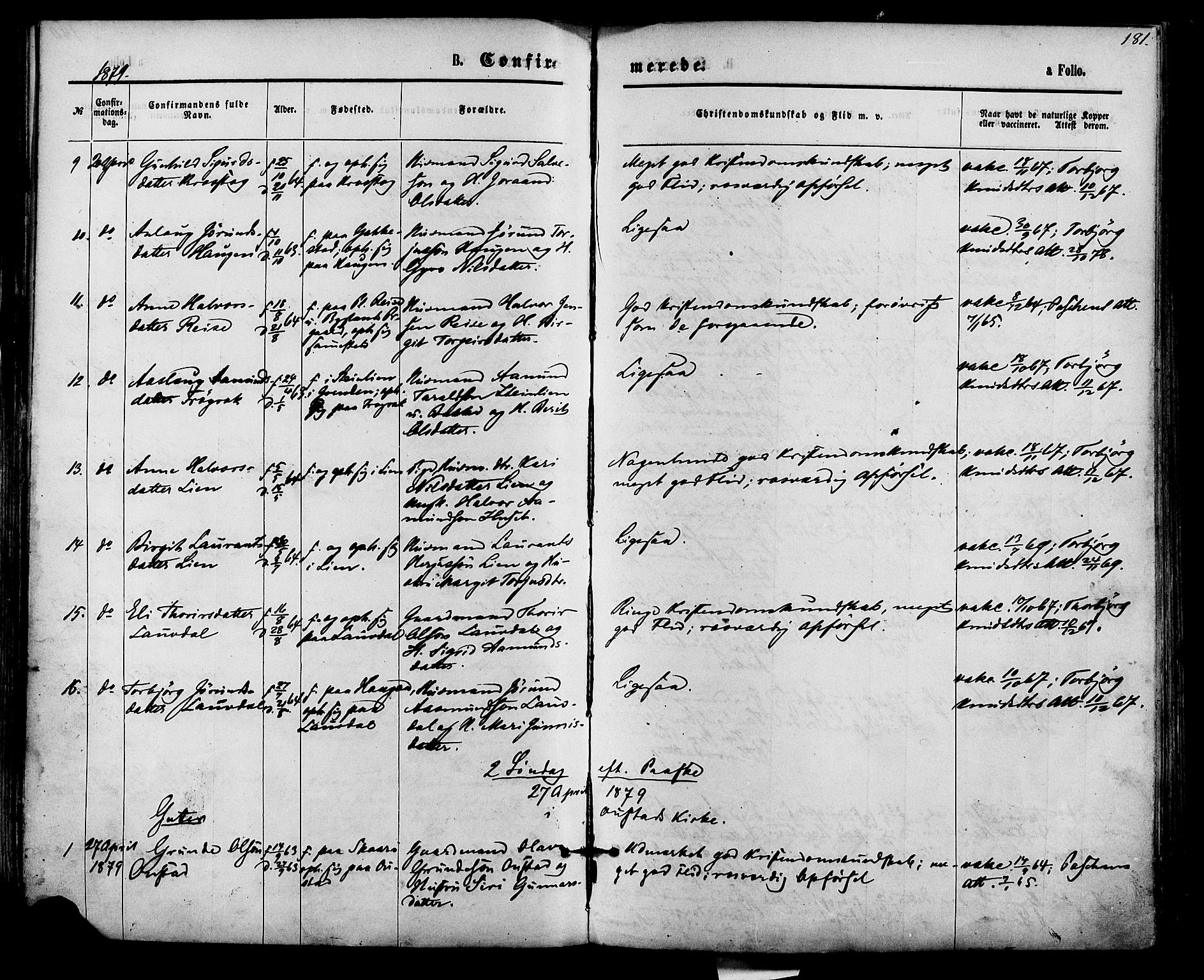 Bygland sokneprestkontor, AV/SAK-1111-0006/F/Fa/Fab/L0006: Parish register (official) no. A 6, 1873-1884, p. 181