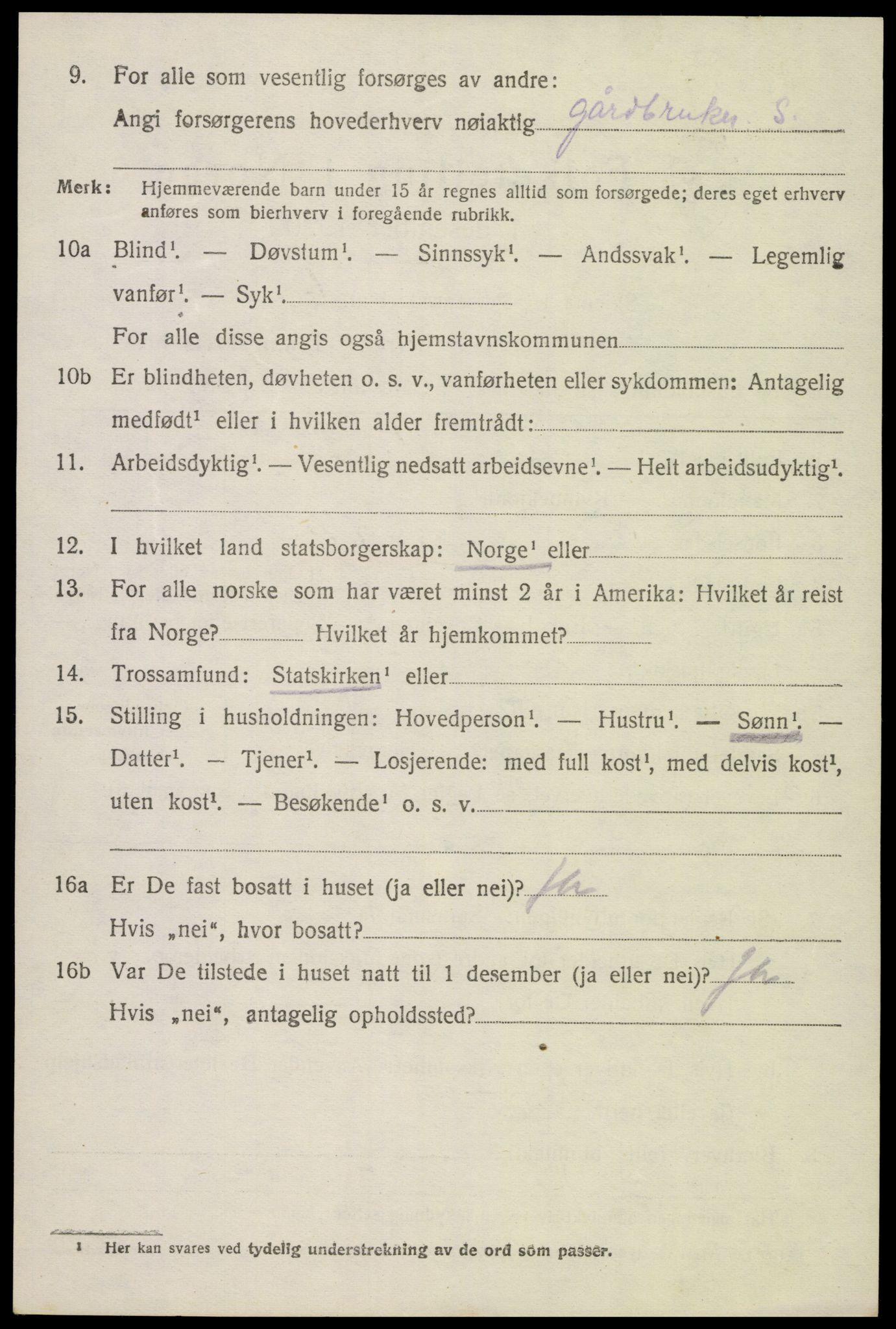 SAK, 1920 census for Hornnes, 1920, p. 2626