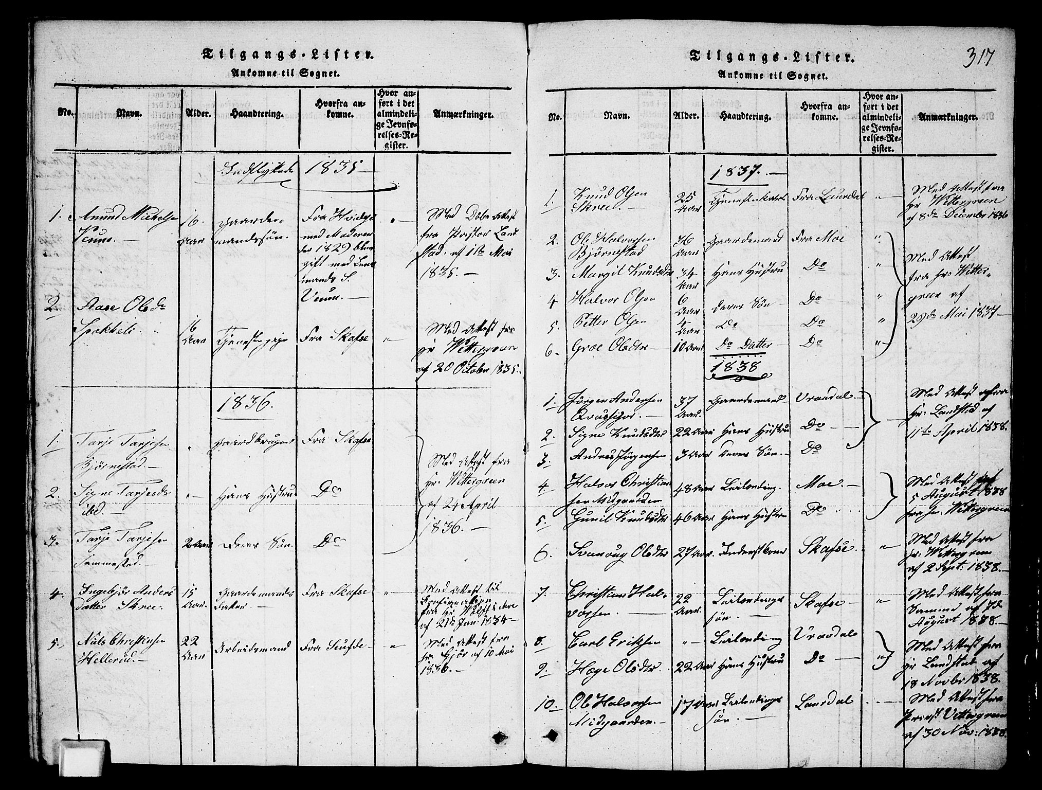 Fyresdal kirkebøker, SAKO/A-263/G/Ga/L0003: Parish register (copy) no. I 3, 1815-1863, p. 317
