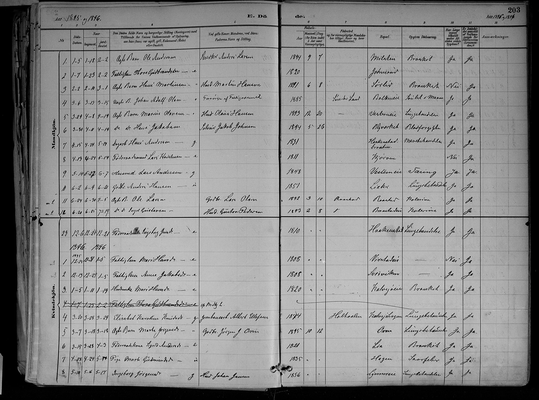 Jevnaker prestekontor, SAH/PREST-116/H/Ha/Haa/L0010: Parish register (official) no. 10, 1891-1906, p. 203