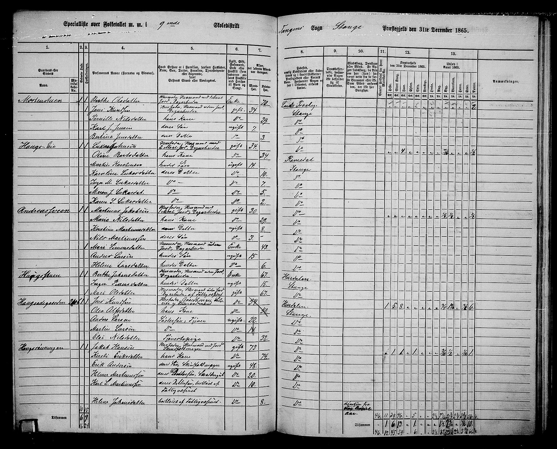 RA, 1865 census for Stange, 1865, p. 211