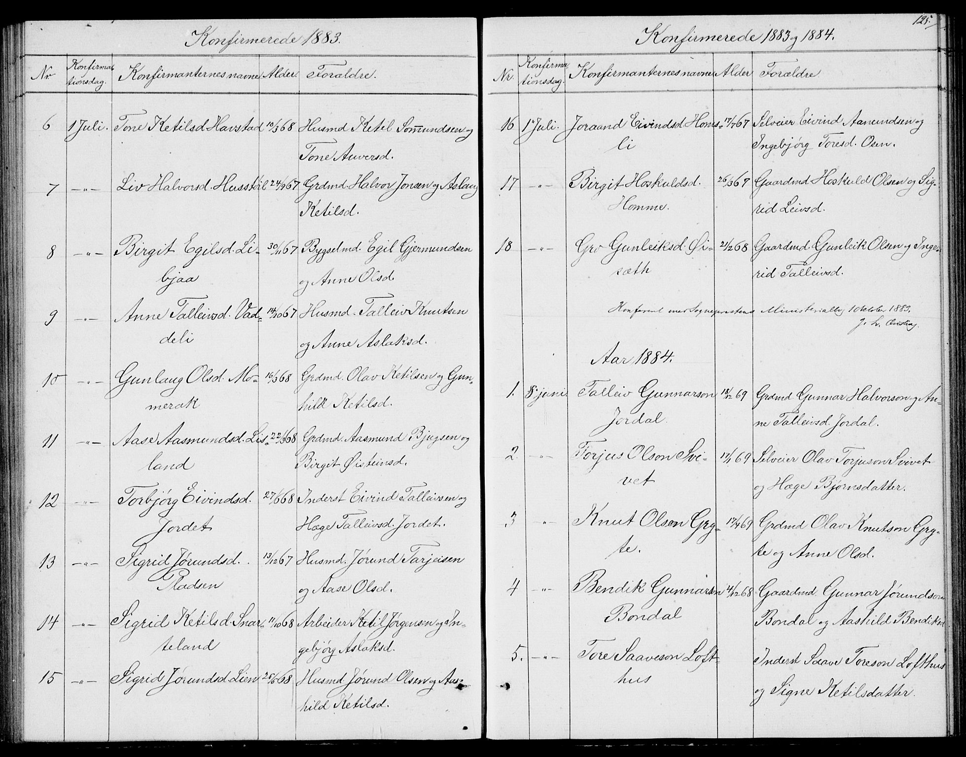 Fyresdal kirkebøker, SAKO/A-263/G/Ga/L0004: Parish register (copy) no. I 4, 1864-1892, p. 125