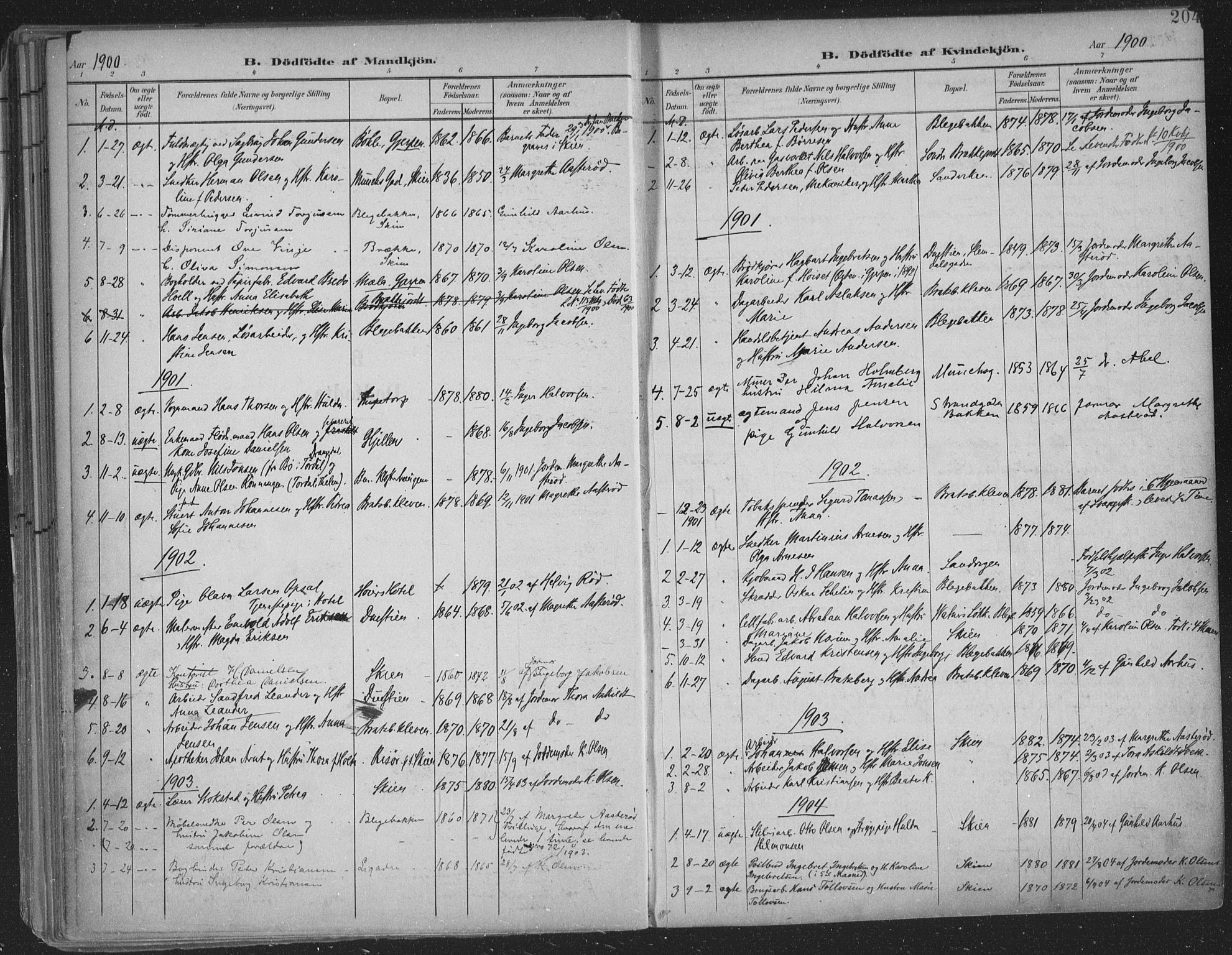 Skien kirkebøker, SAKO/A-302/F/Fa/L0011: Parish register (official) no. 11, 1900-1907, p. 204