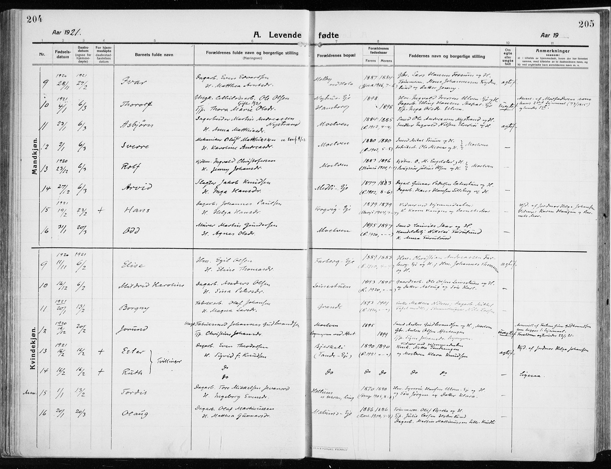 Ringsaker prestekontor, SAH/PREST-014/K/Ka/L0020: Parish register (official) no. 20, 1913-1922, p. 204-205