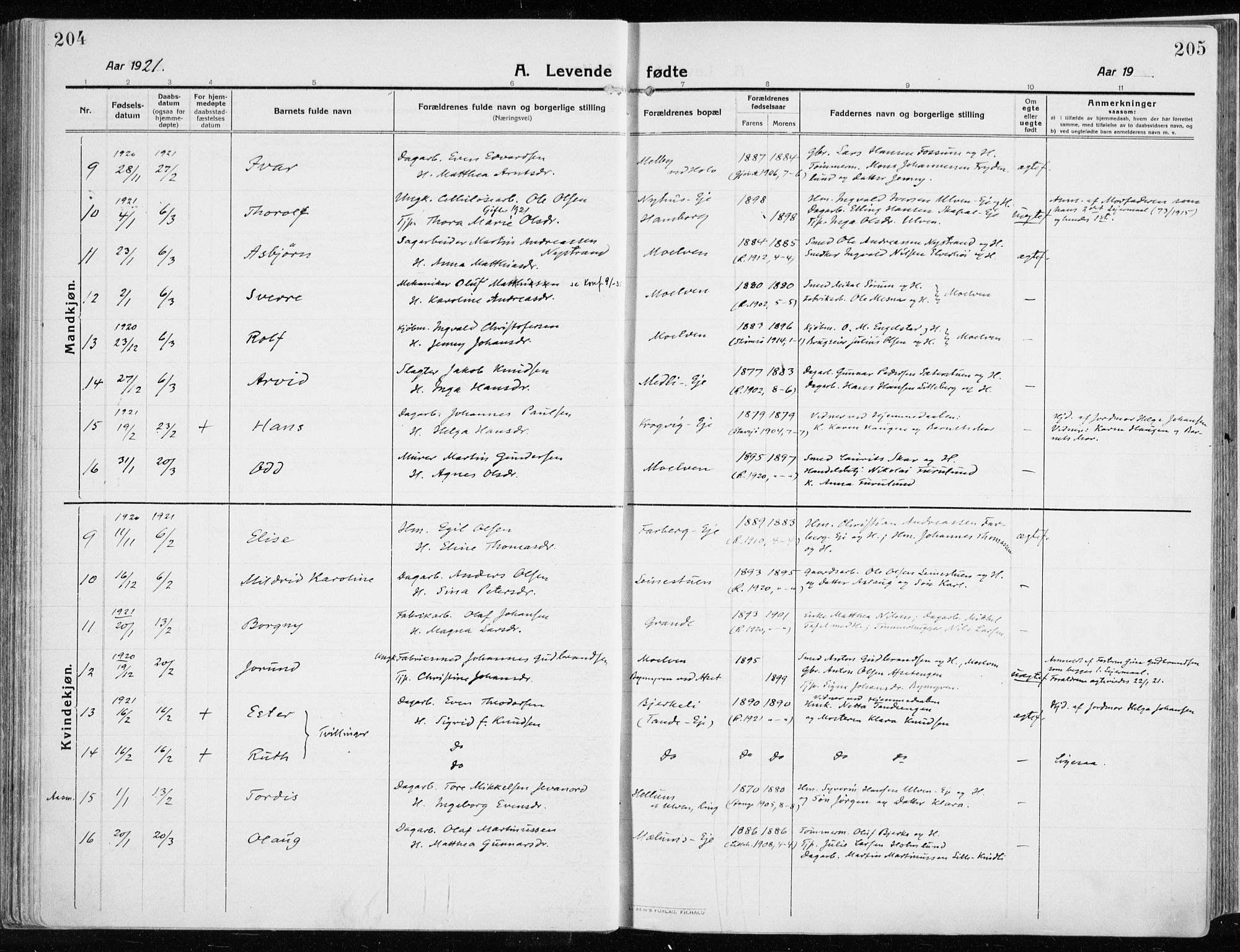 Ringsaker prestekontor, AV/SAH-PREST-014/K/Ka/L0020: Parish register (official) no. 20, 1913-1922, p. 204-205