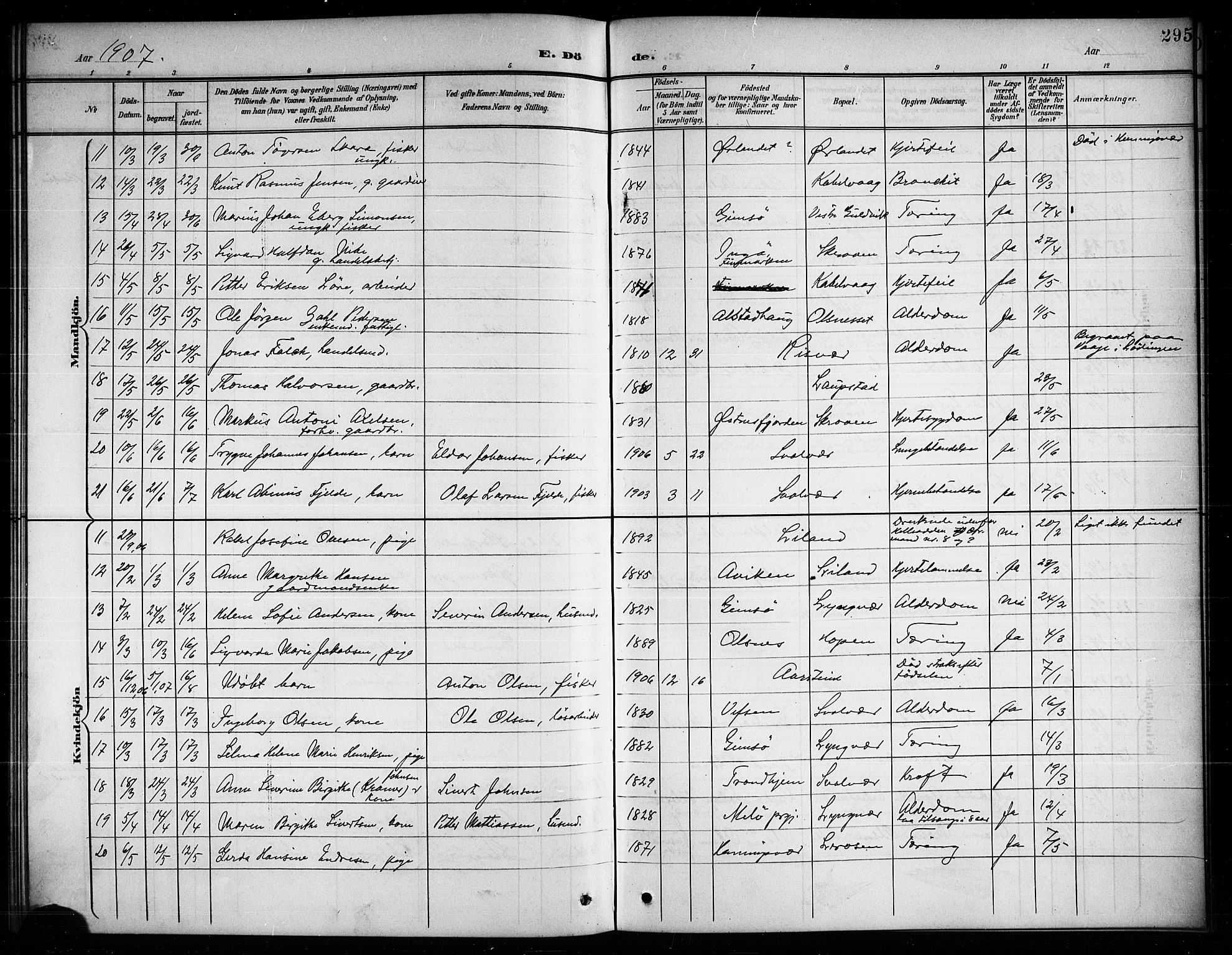 Ministerialprotokoller, klokkerbøker og fødselsregistre - Nordland, AV/SAT-A-1459/874/L1078: Parish register (copy) no. 874C07, 1900-1907, p. 295