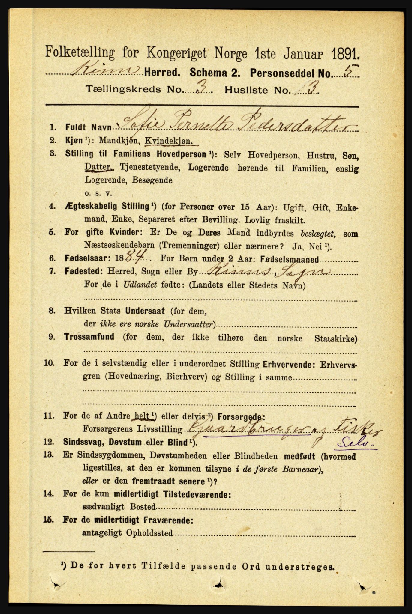 RA, 1891 census for 1437 Kinn, 1891, p. 960