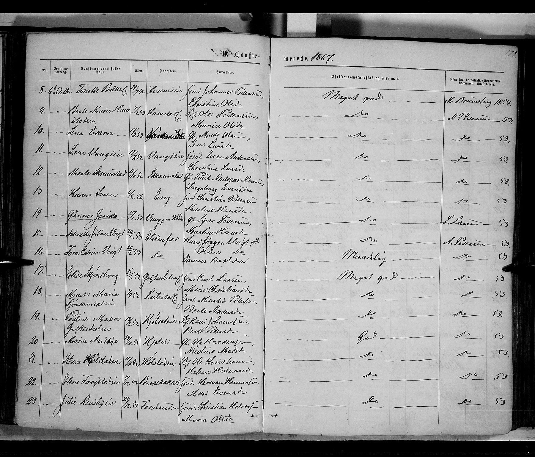 Østre Toten prestekontor, AV/SAH-PREST-104/H/Ha/Haa/L0005: Parish register (official) no. 5, 1866-1877, p. 173