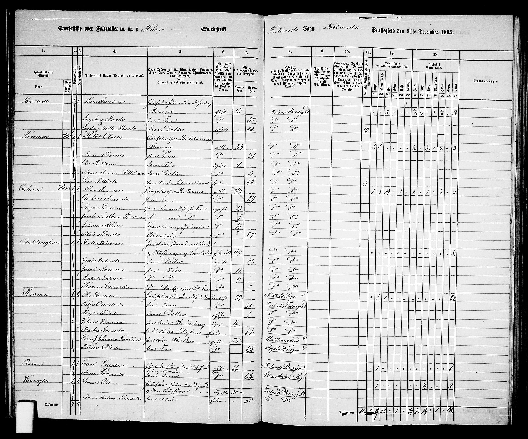 RA, 1865 census for Froland, 1865, p. 19