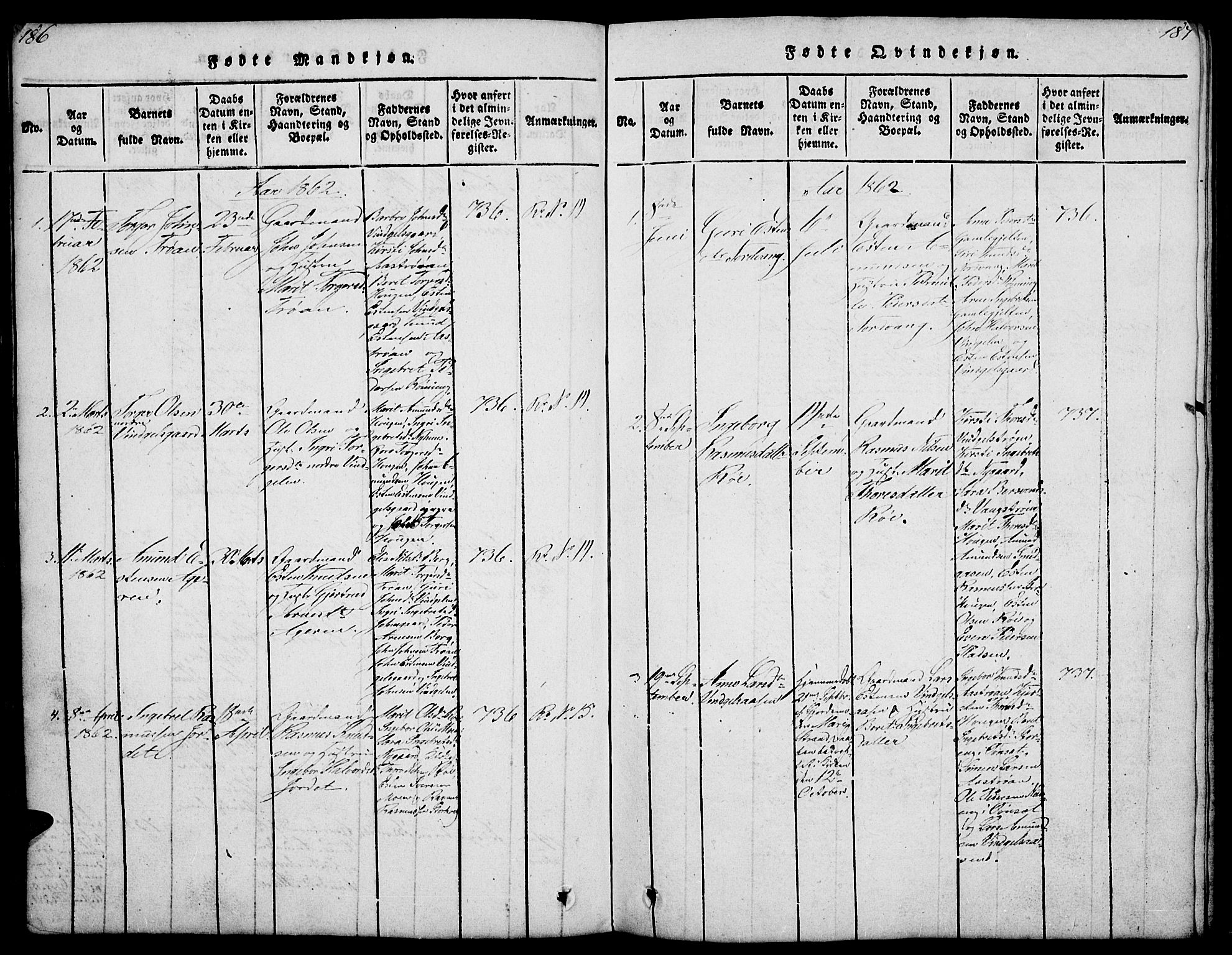 Tolga prestekontor, SAH/PREST-062/L/L0003: Parish register (copy) no. 3, 1815-1862, p. 186-187