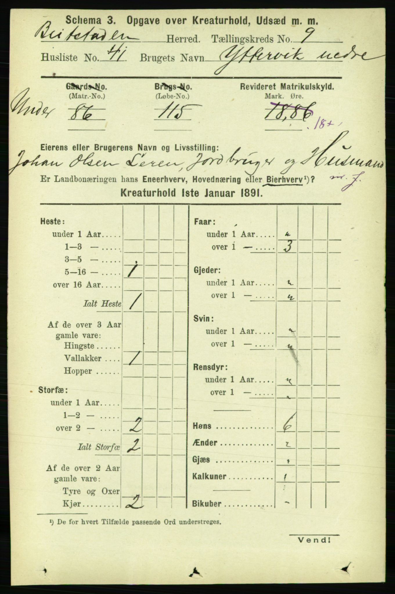 RA, 1891 census for 1727 Beitstad, 1891, p. 6177