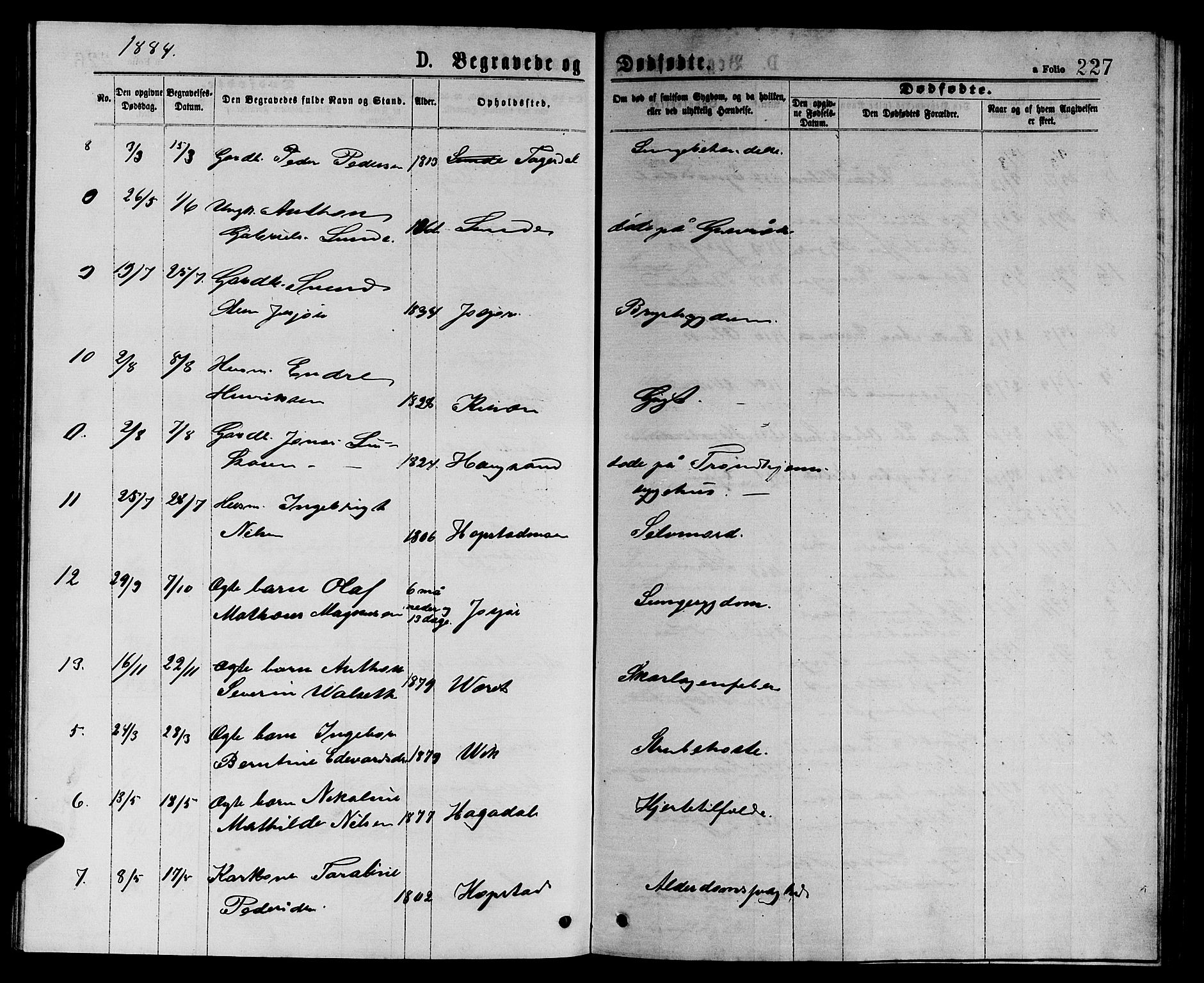 Ministerialprotokoller, klokkerbøker og fødselsregistre - Sør-Trøndelag, SAT/A-1456/657/L0715: Parish register (copy) no. 657C02, 1873-1888, p. 227