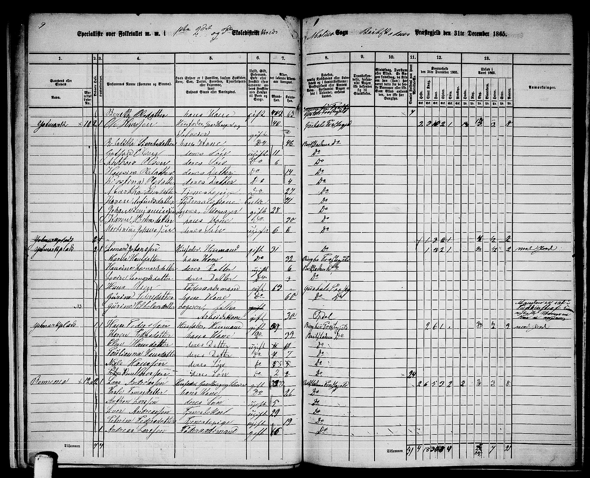 RA, 1865 census for Beitstad, 1865, p. 21