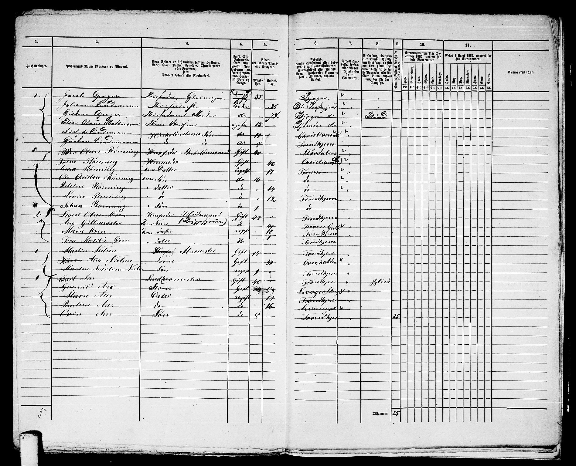 RA, 1865 census for Trondheim, 1865, p. 2593