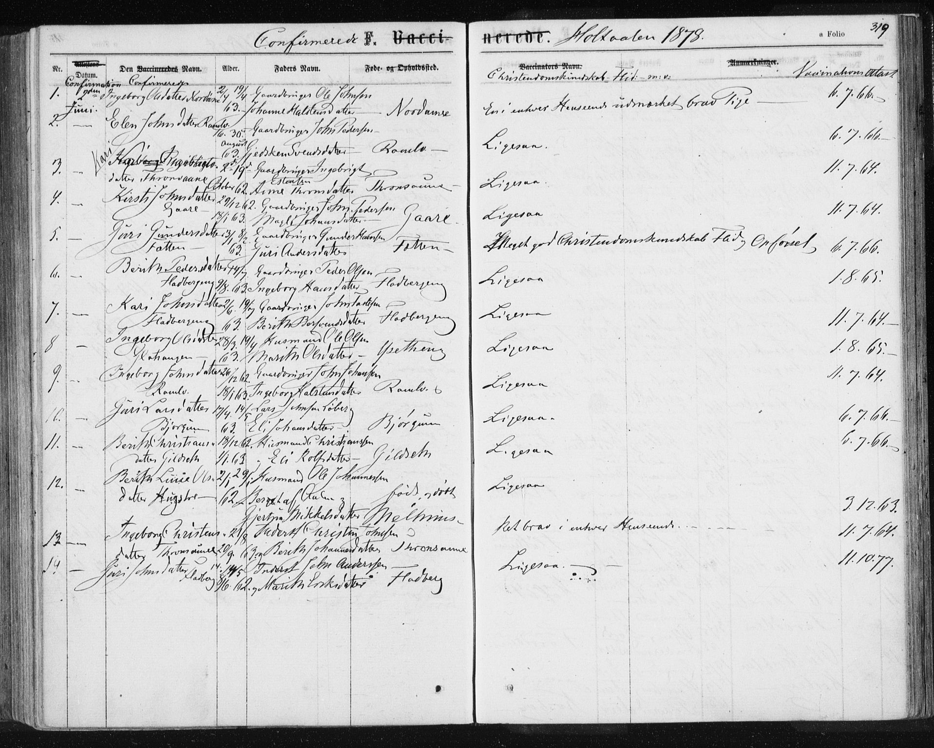 Ministerialprotokoller, klokkerbøker og fødselsregistre - Sør-Trøndelag, SAT/A-1456/685/L0969: Parish register (official) no. 685A08 /1, 1870-1878, p. 319