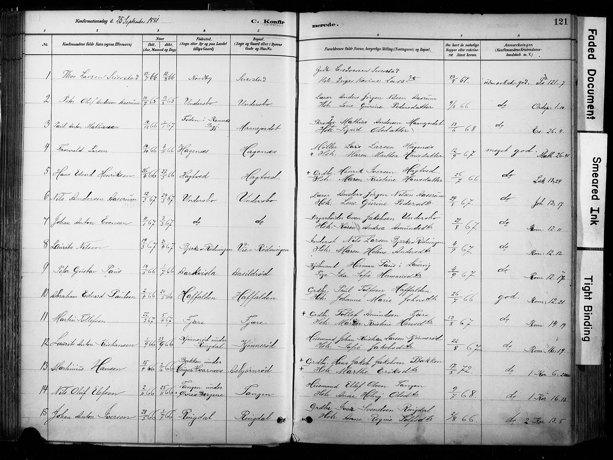 Hedrum kirkebøker, SAKO/A-344/F/Fa/L0009: Parish register (official) no. I 9, 1881-1903, p. 121
