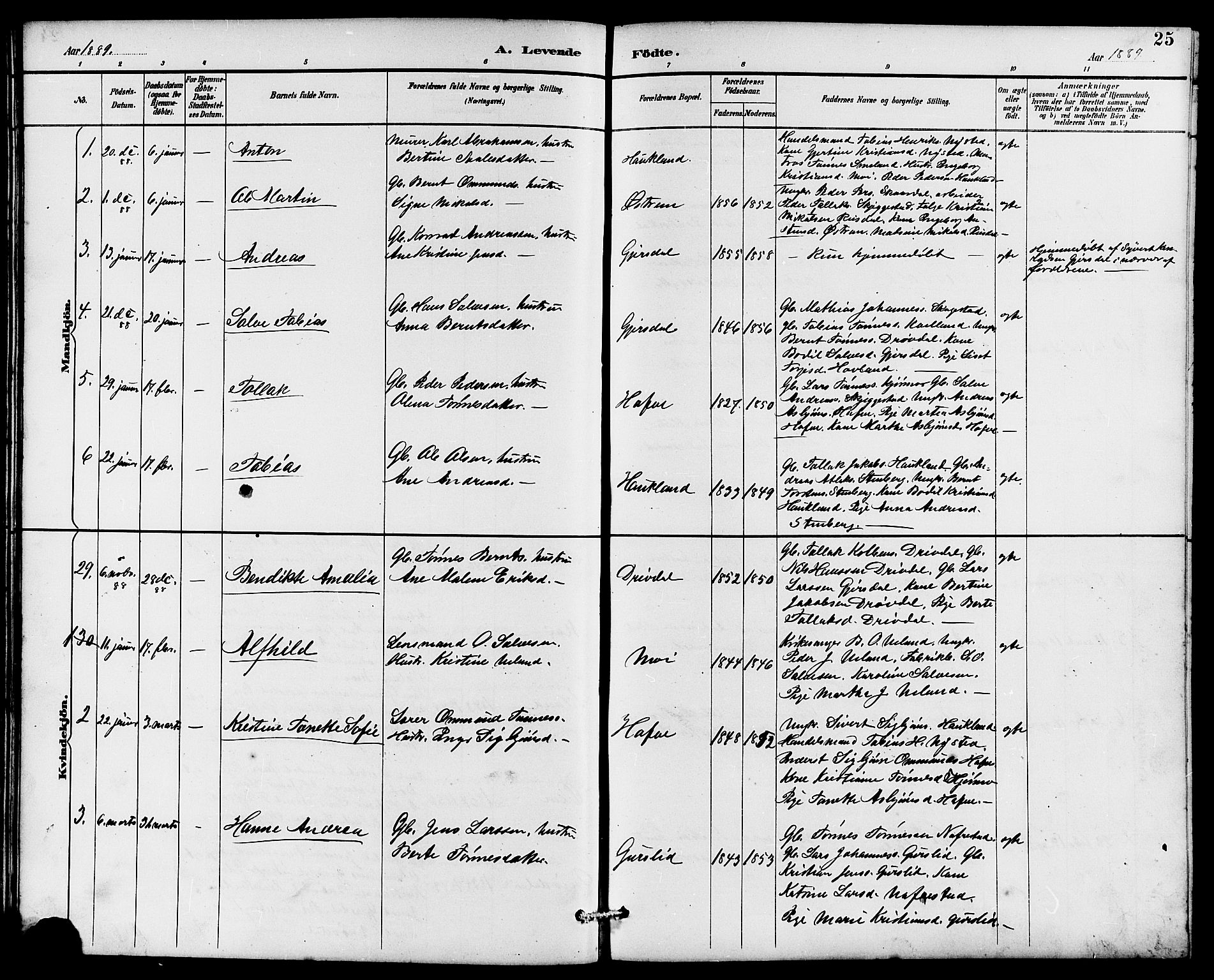 Lund sokneprestkontor, AV/SAST-A-101809/S07/L0006: Parish register (copy) no. B 6, 1885-1901, p. 25