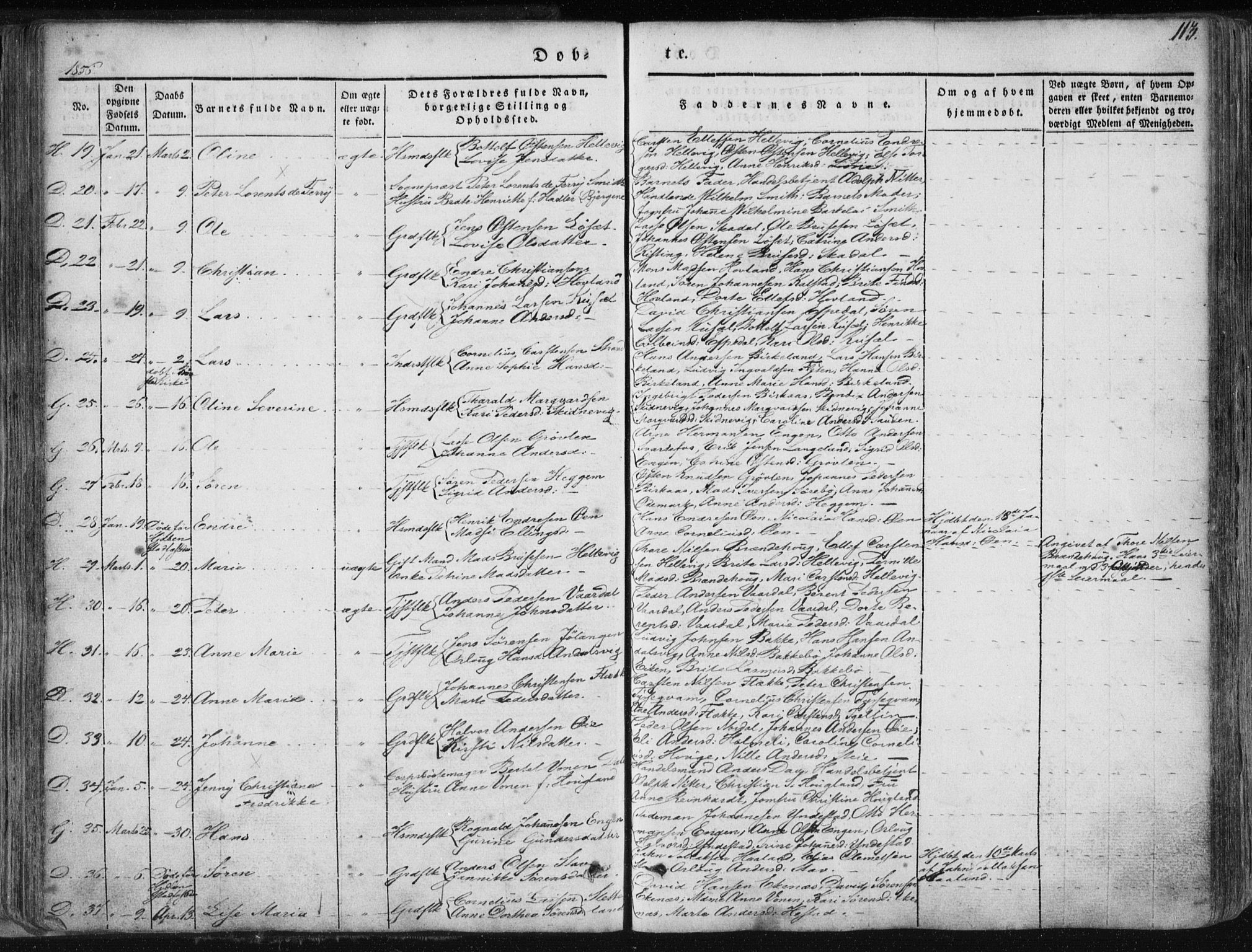 Fjaler sokneprestembete, SAB/A-79801/H/Haa/Haaa/L0006: Parish register (official) no. A 6, 1835-1884, p. 113