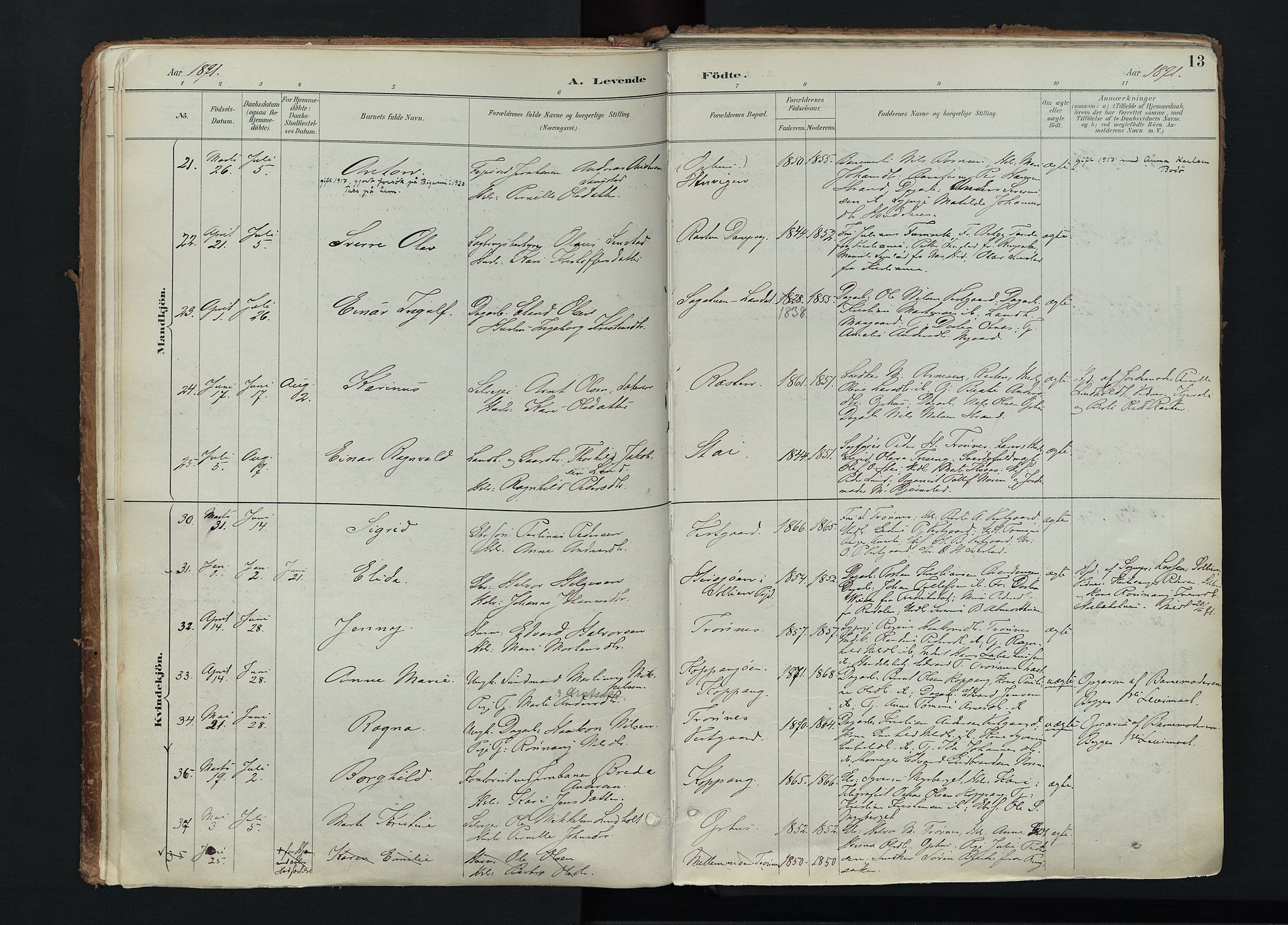 Stor-Elvdal prestekontor, SAH/PREST-052/H/Ha/Haa/L0004: Parish register (official) no. 4, 1890-1922, p. 13
