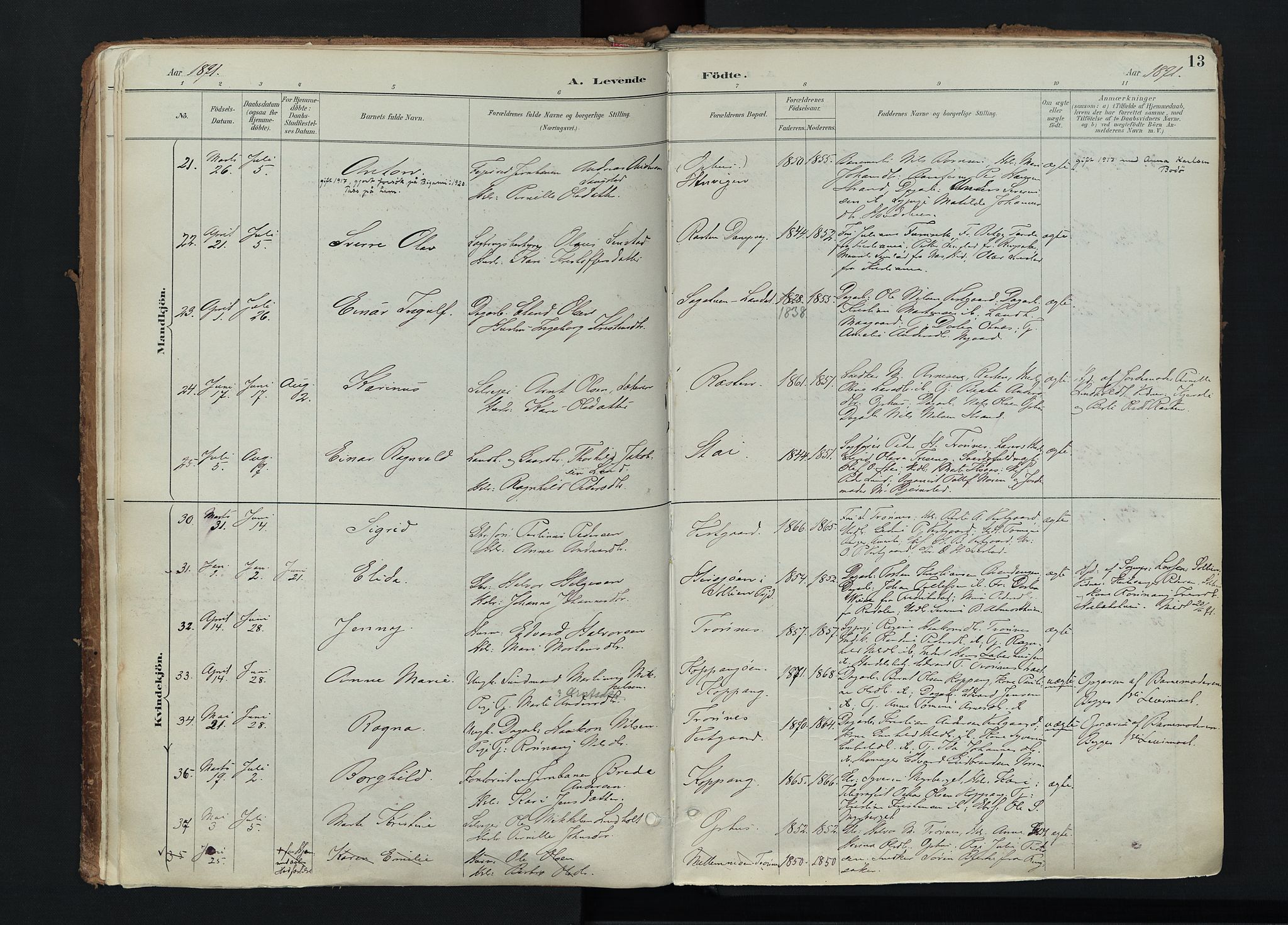 Stor-Elvdal prestekontor, AV/SAH-PREST-052/H/Ha/Haa/L0004: Parish register (official) no. 4, 1890-1922, p. 13