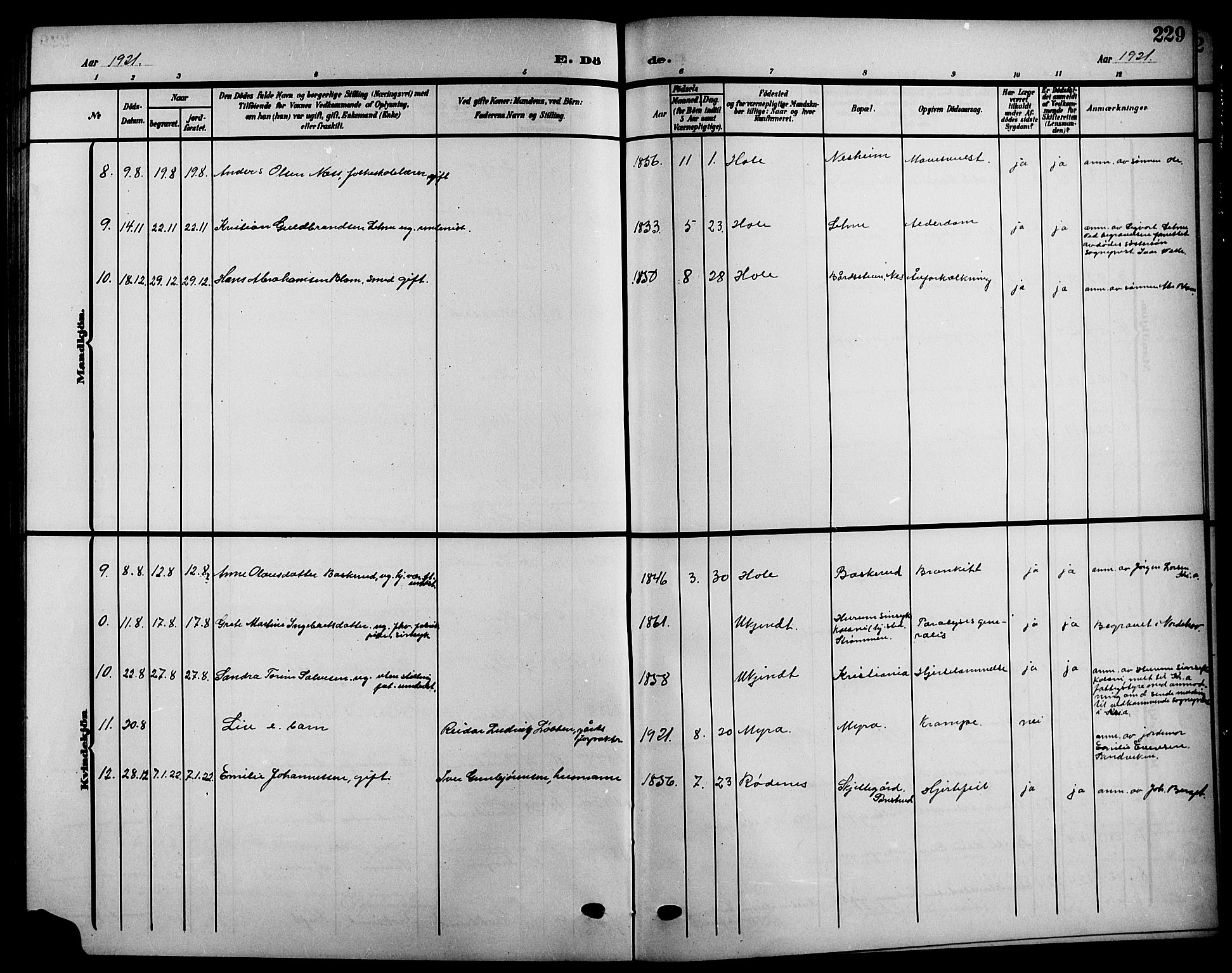 Hole kirkebøker, AV/SAKO-A-228/G/Ga/L0004: Parish register (copy) no. I 4, 1905-1924, p. 229