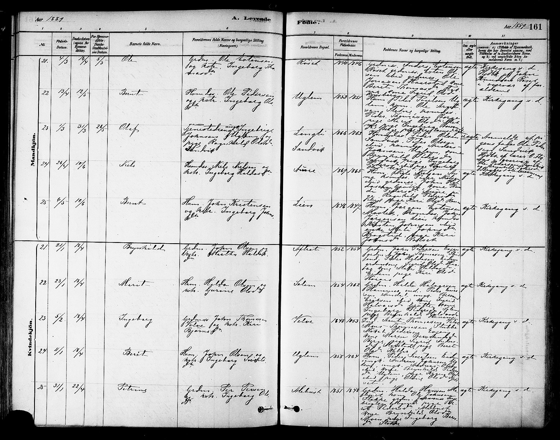 Ministerialprotokoller, klokkerbøker og fødselsregistre - Sør-Trøndelag, AV/SAT-A-1456/695/L1148: Parish register (official) no. 695A08, 1878-1891, p. 161