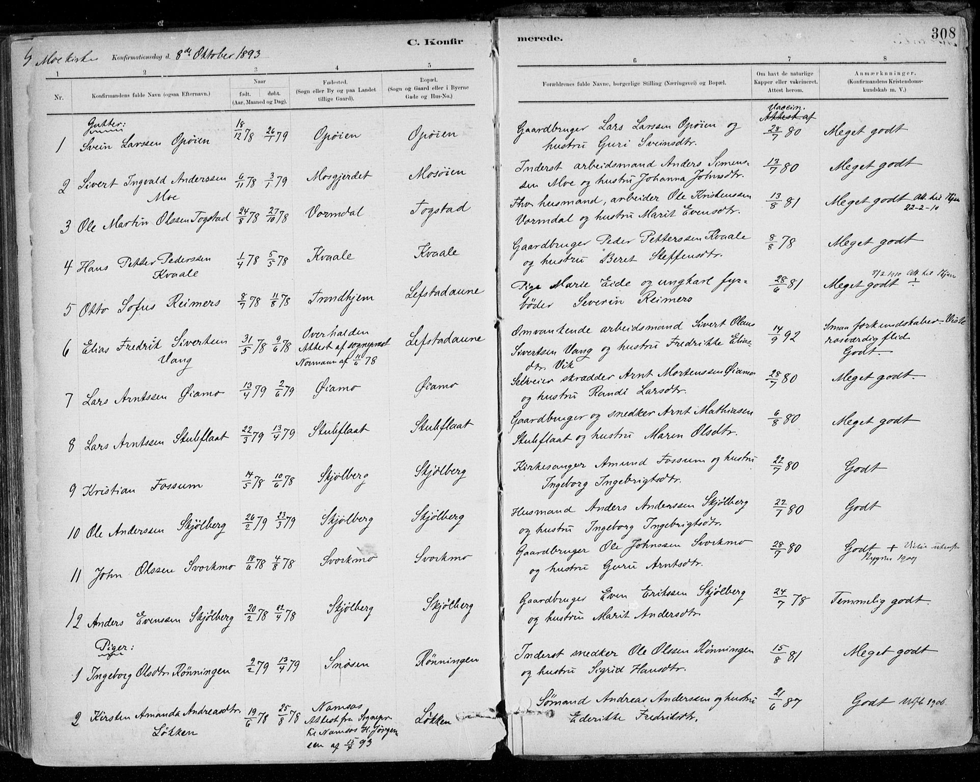 Ministerialprotokoller, klokkerbøker og fødselsregistre - Sør-Trøndelag, SAT/A-1456/668/L0809: Parish register (official) no. 668A09, 1881-1895, p. 308