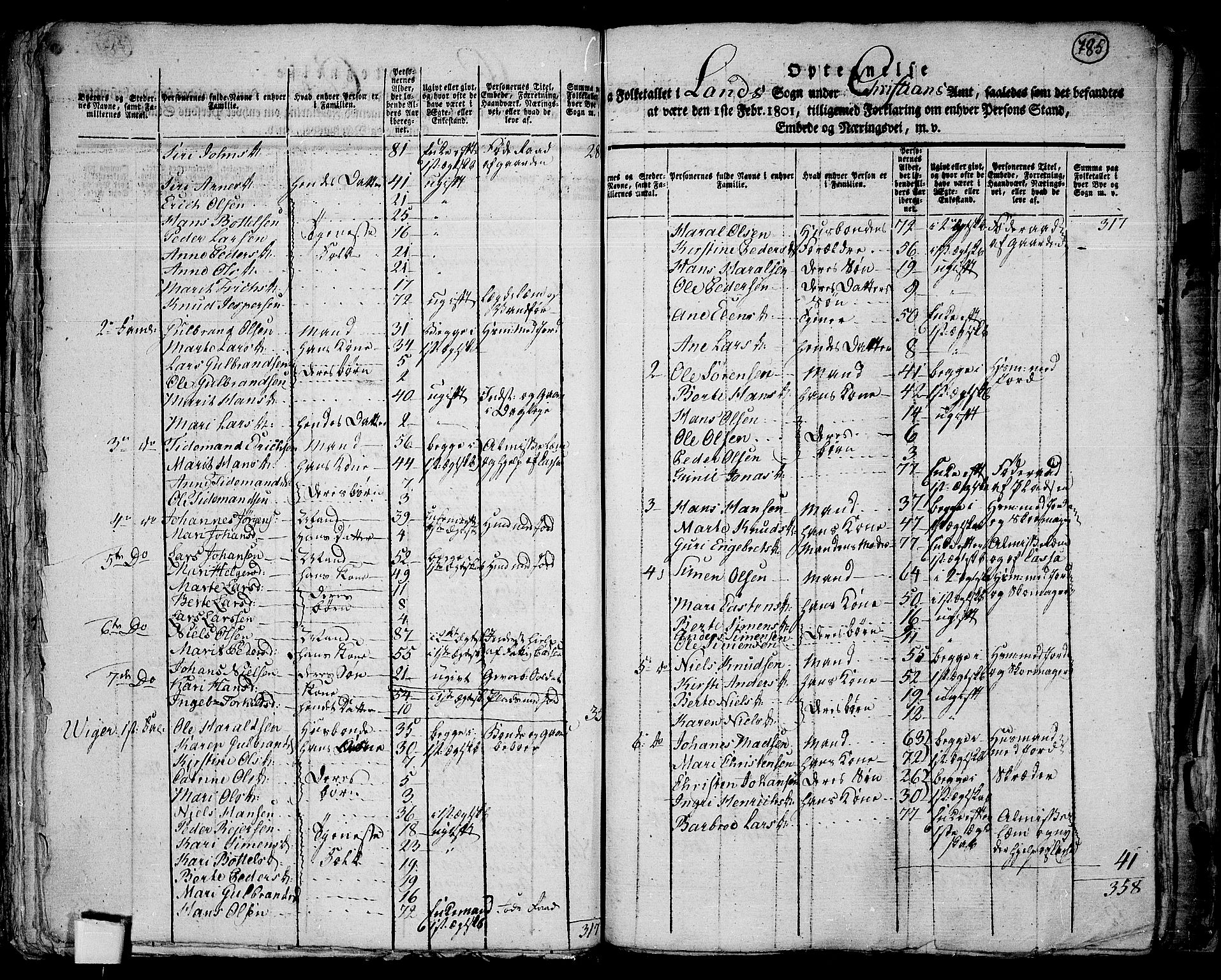 RA, 1801 census for 0536P Land, 1801, p. 784b-785a