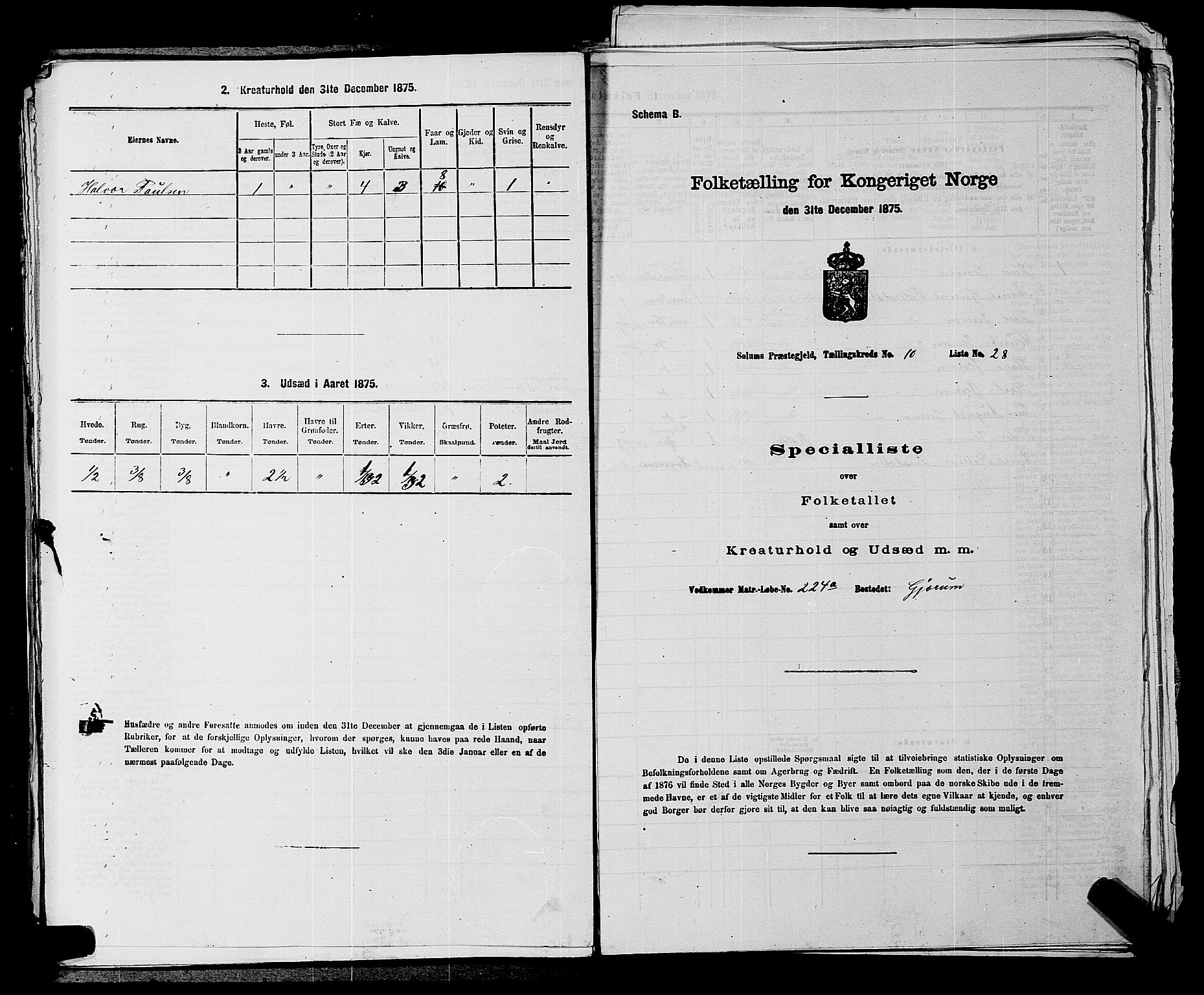 SAKO, 1875 census for 0818P Solum, 1875, p. 1521