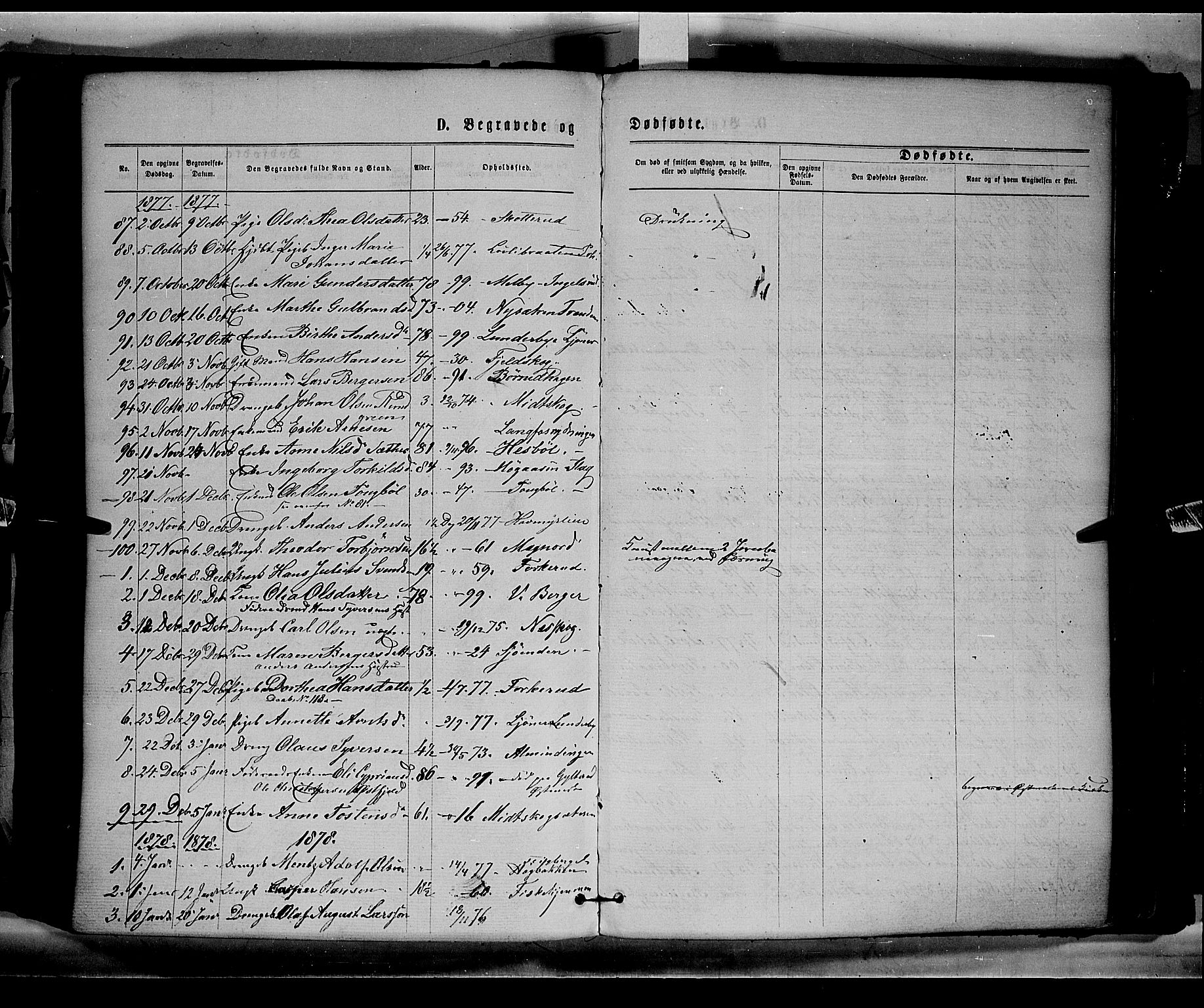 Eidskog prestekontor, AV/SAH-PREST-026/H/Ha/Haa/L0002: Parish register (official) no. 2, 1867-1878, p. 272b