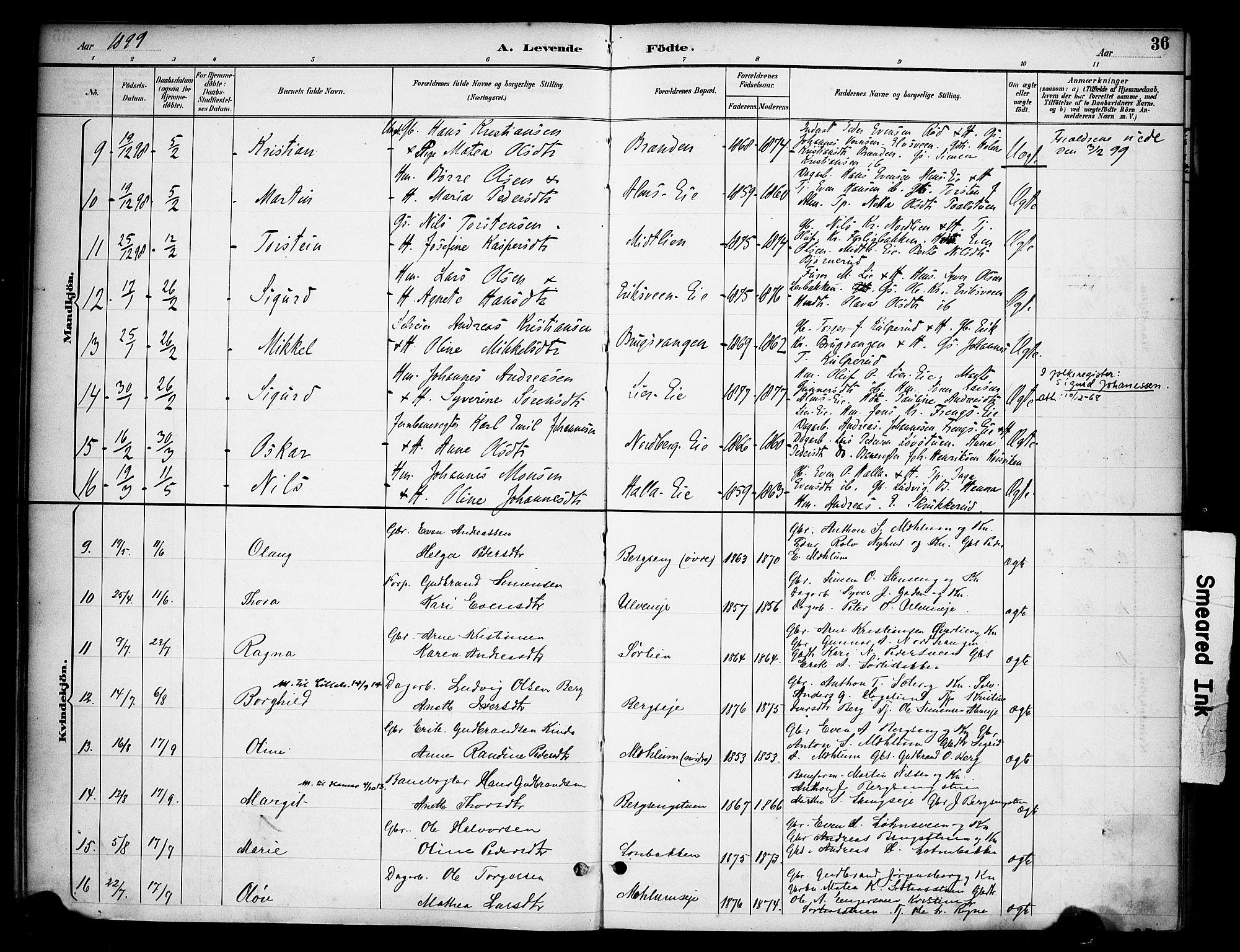 Ringsaker prestekontor, AV/SAH-PREST-014/K/Ka/L0015: Parish register (official) no. 15, 1891-1904, p. 36