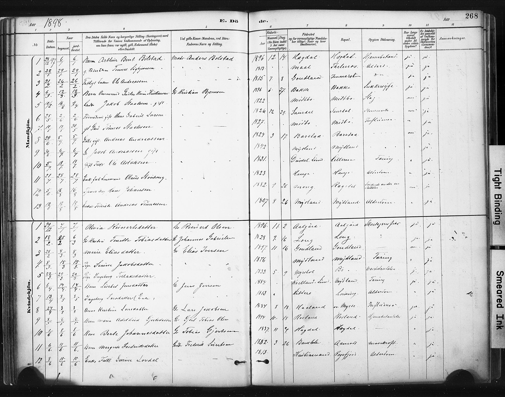 Sokndal sokneprestkontor, SAST/A-101808: Parish register (official) no. A 11.2, 1887-1905, p. 268