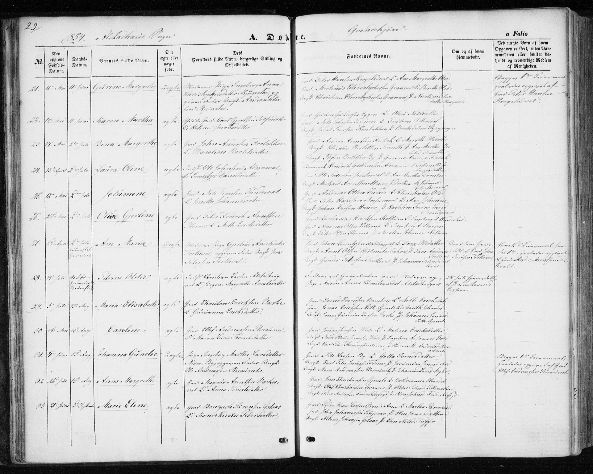 Ministerialprotokoller, klokkerbøker og fødselsregistre - Nord-Trøndelag, AV/SAT-A-1458/717/L0154: Parish register (official) no. 717A07 /1, 1850-1862, p. 29