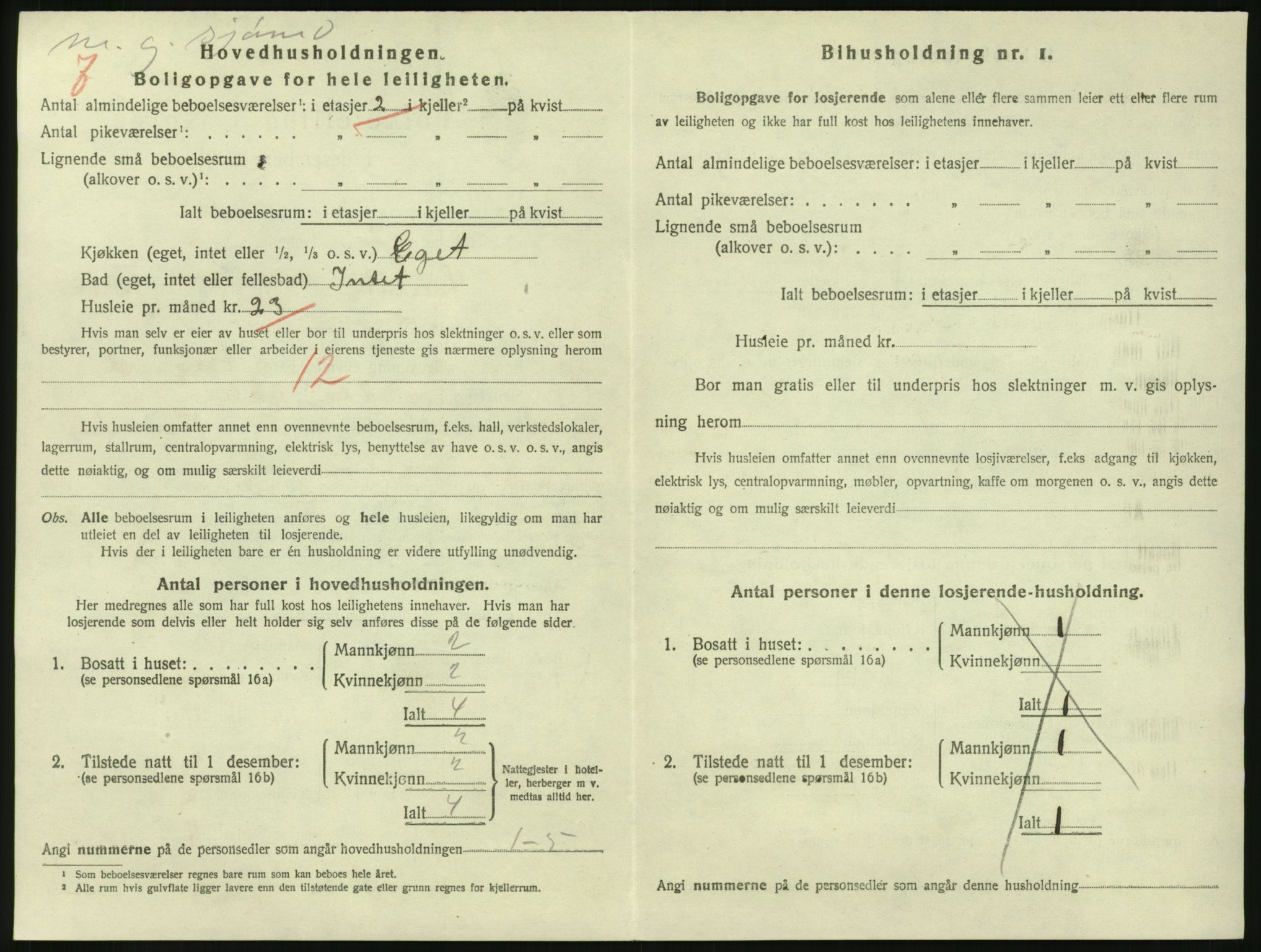 SAKO, 1920 census for Larvik, 1920, p. 3295