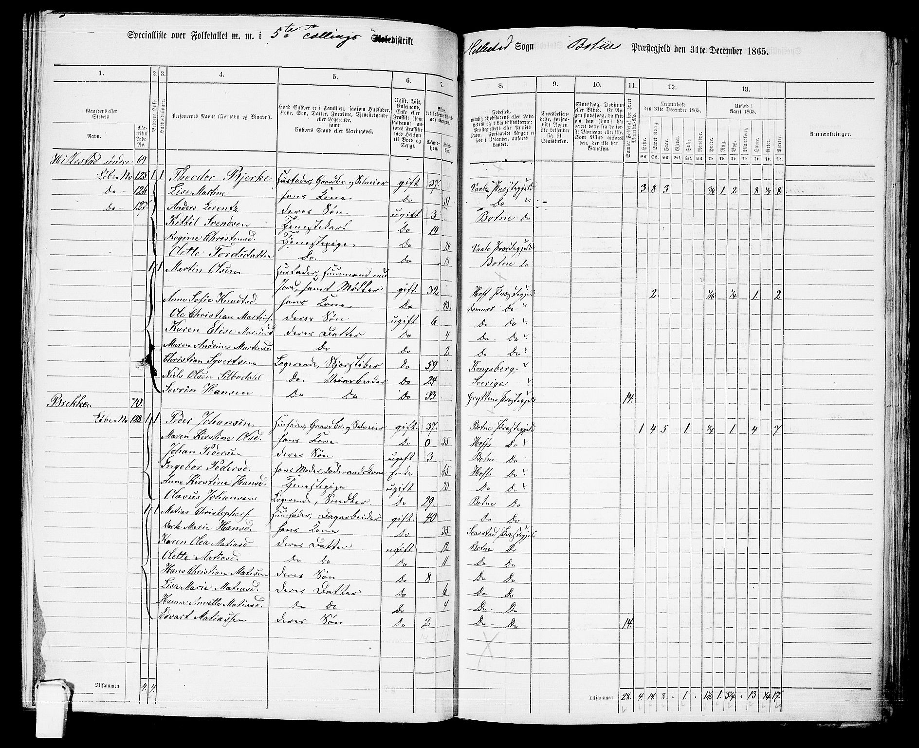 RA, 1865 census for Botne/Botne og Hillestad, 1865, p. 85