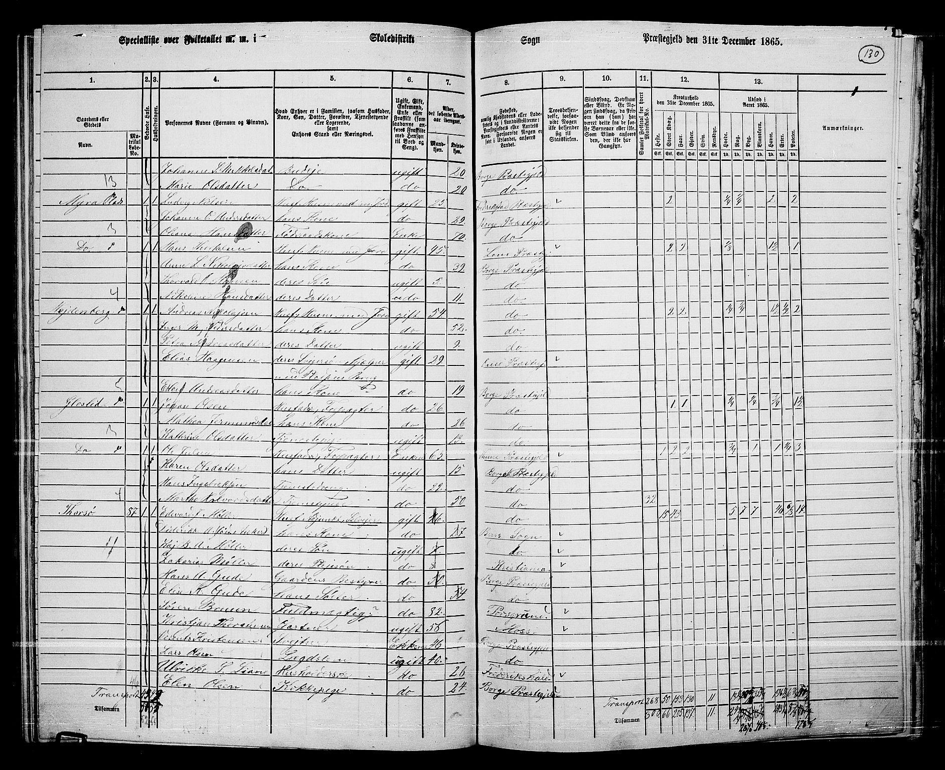 RA, 1865 census for Borge, 1865, p. 119