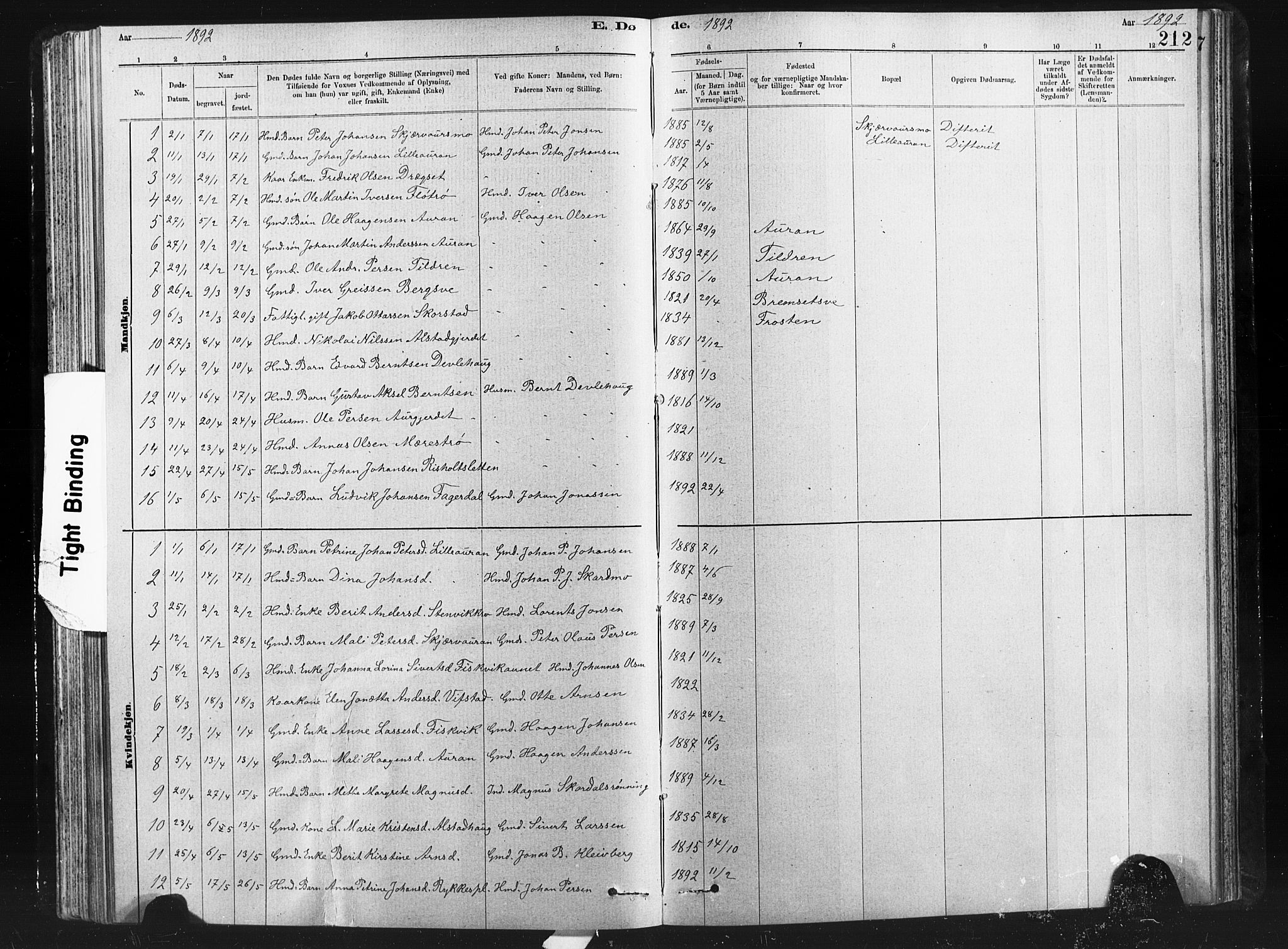 Ministerialprotokoller, klokkerbøker og fødselsregistre - Nord-Trøndelag, AV/SAT-A-1458/712/L0103: Parish register (copy) no. 712C01, 1878-1917, p. 212