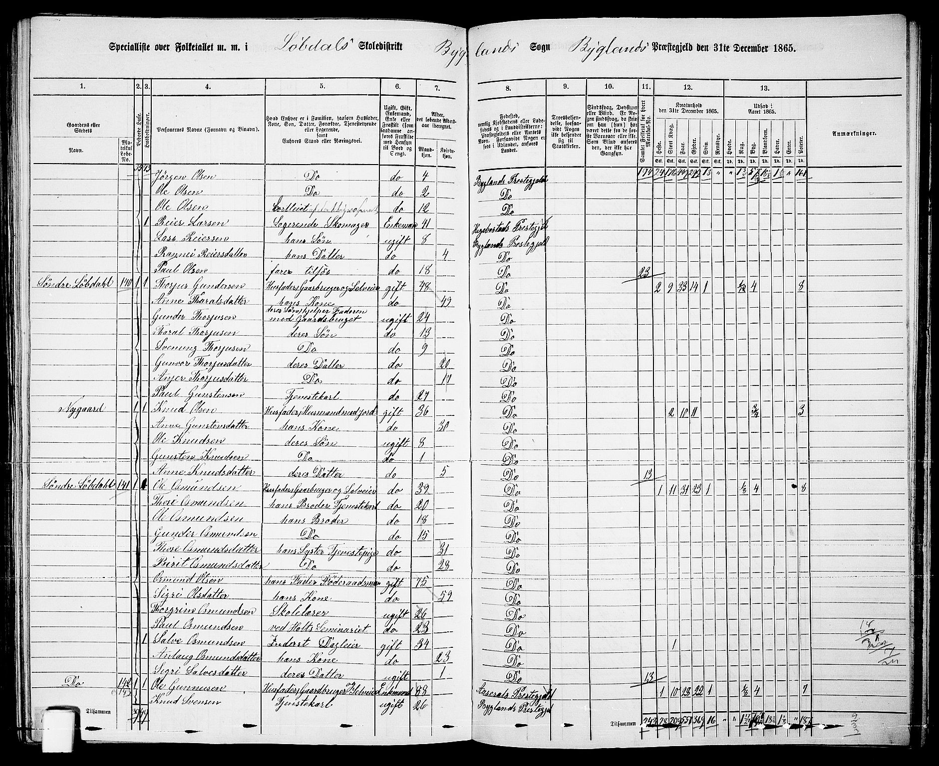 RA, 1865 census for Bygland, 1865, p. 75