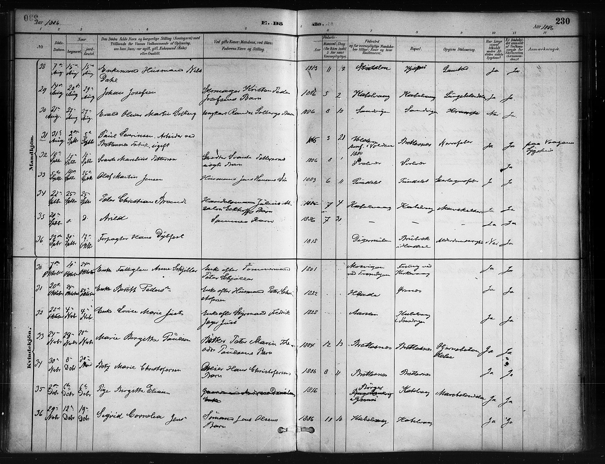 Ministerialprotokoller, klokkerbøker og fødselsregistre - Nordland, AV/SAT-A-1459/874/L1059: Parish register (official) no. 874A03, 1884-1890, p. 230