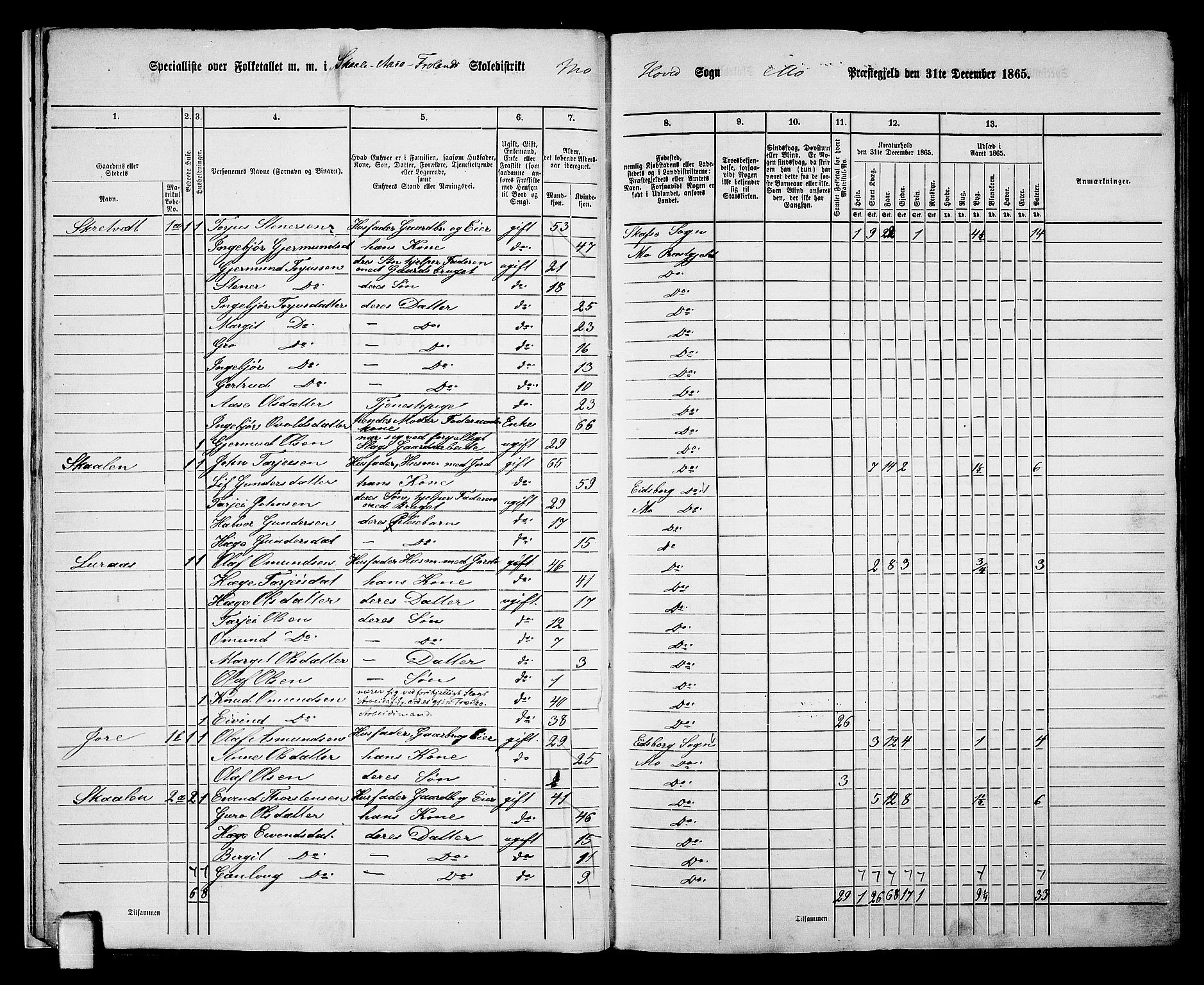 RA, 1865 census for Mo, 1865, p. 11