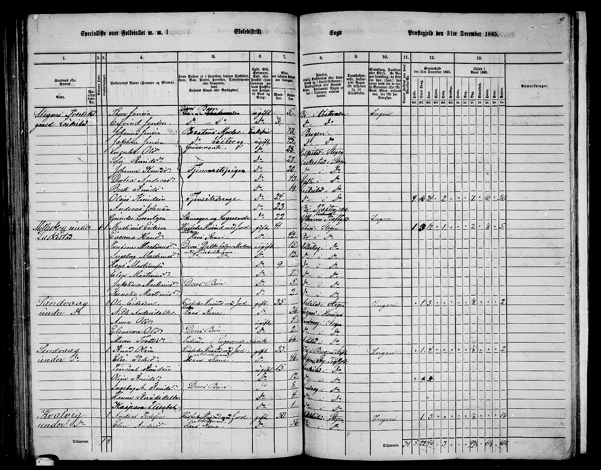 RA, 1865 census for Steigen, 1865, p. 96