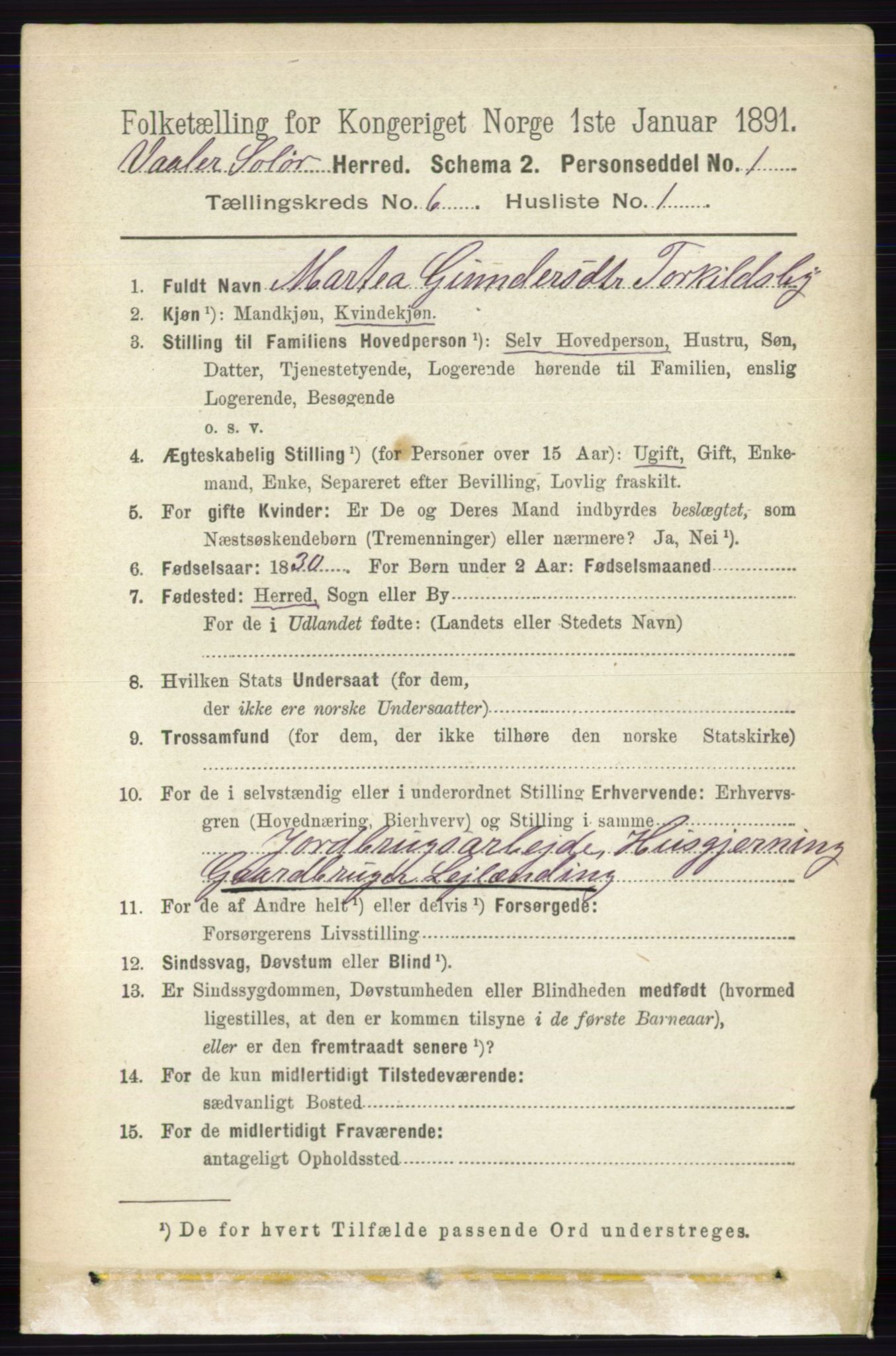 RA, 1891 census for 0426 Våler, 1891, p. 2464