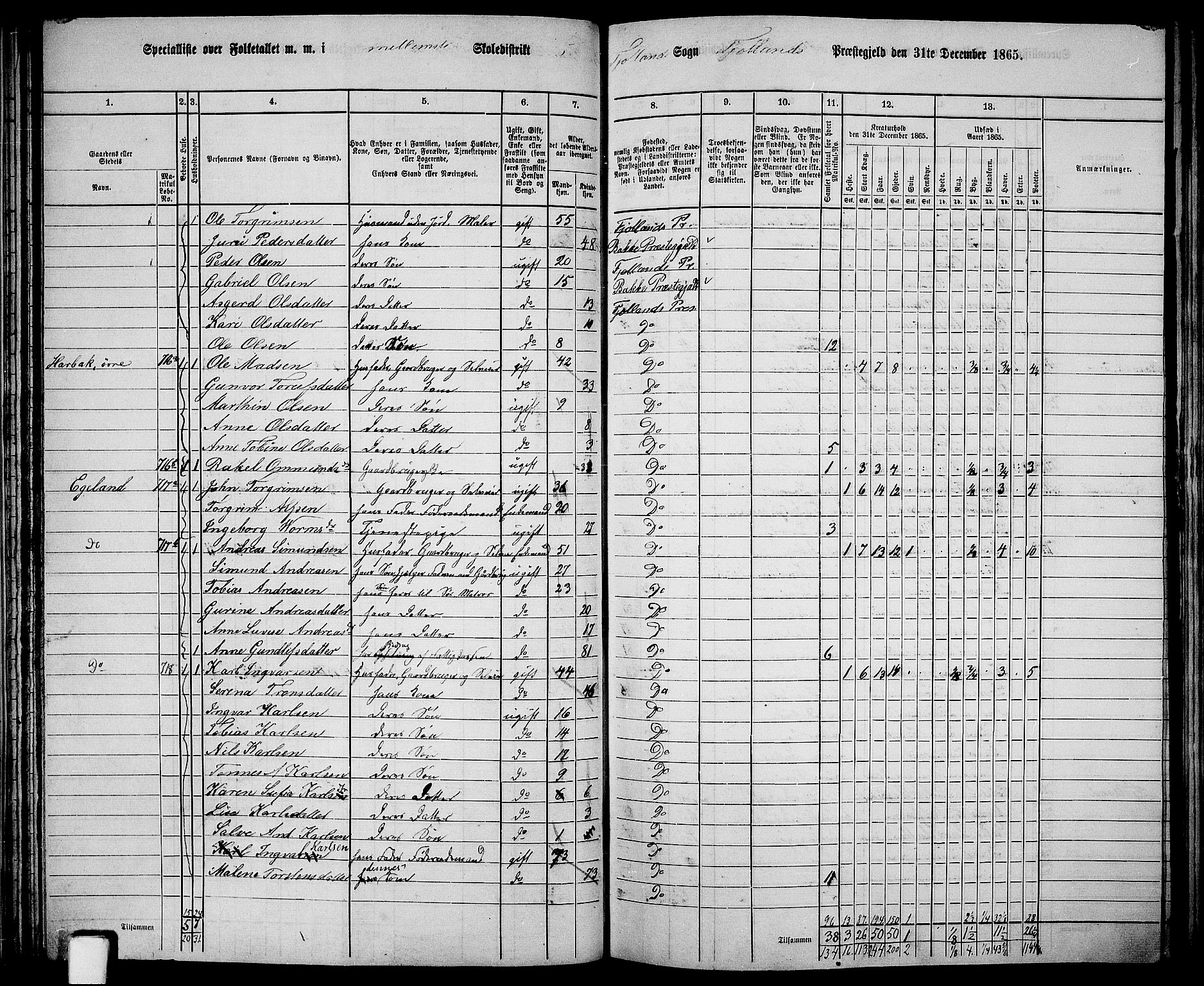 RA, 1865 census for Fjotland, 1865, p. 40