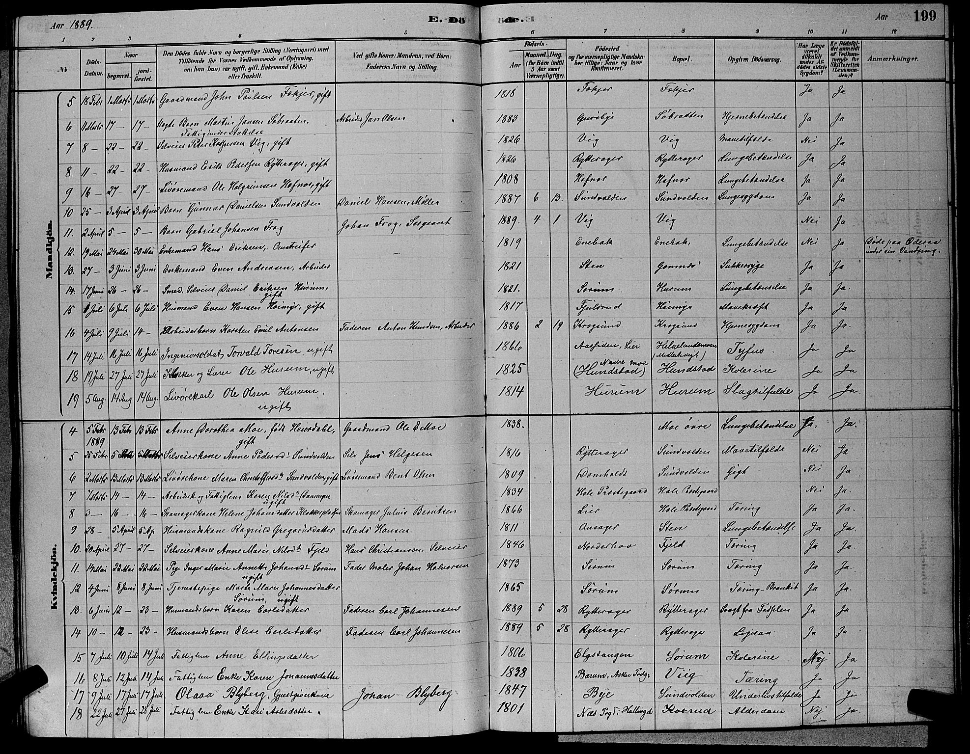 Hole kirkebøker, SAKO/A-228/G/Ga/L0003: Parish register (copy) no. I 3, 1879-1904, p. 199